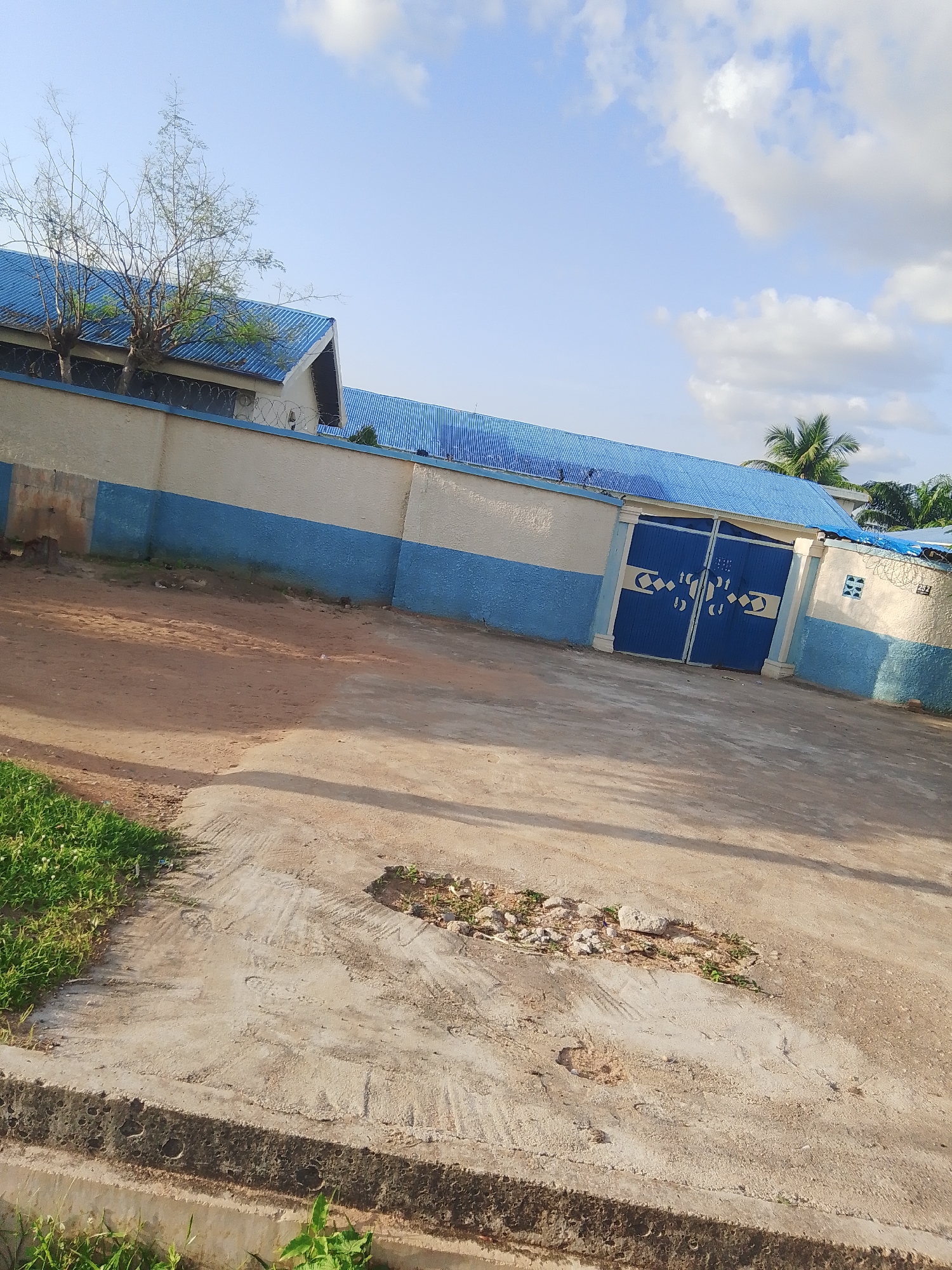 The image depicts the exterior of a building with a blue corrugated metal roof and a cream and blue striped wall surrounding it. A large blue gate with decorative diamond patterns is visible in the center of the wall. Palm trees and other greenery are present in the background, suggesting a warm climate. The ground in front of the wall is a mixture of dirt and concrete. A patch of grass is visible in the lower left corner. The sky is blue with scattered white clouds. Based on the visual cues, the scene appears to be in Jalingo, Nigeria, which is known for its tropical climate and similar architectural styles. There are no people or active events captured in the image.
