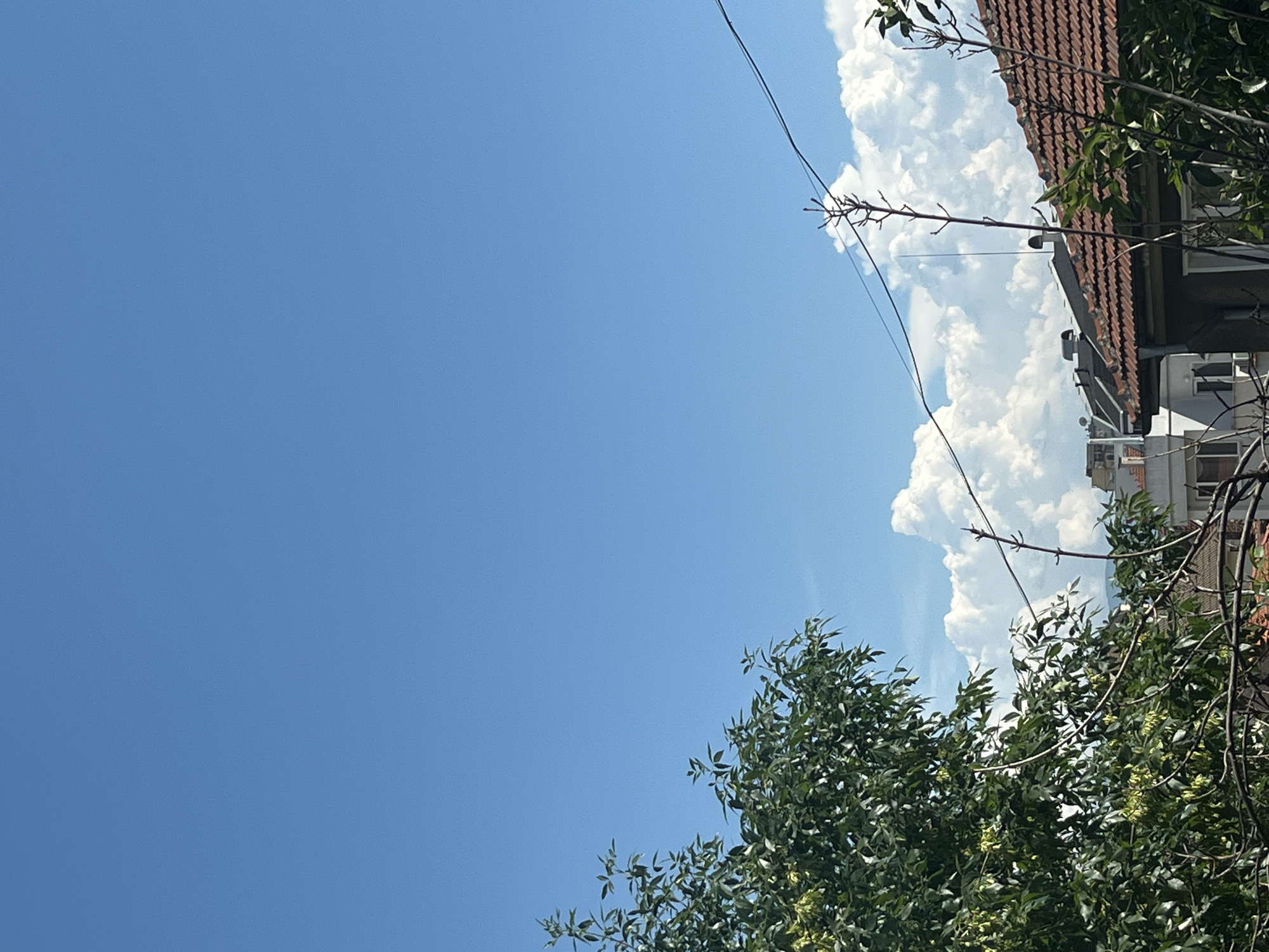 A clear blue sky dominates the upper portion of the image. Below the sky, a cluster of large, puffy white clouds is visible towards the center. In the foreground, a lush green tree with dense foliage occupies the left side of the frame. Several bare branches extend from the trees towards the right. A dark power line runs diagonally across the image, intersecting with the branches and clouds. In the lower right quadrant, the terracotta tiled roof of a building is visible, along with parts of other buildings in the background. A tall, thin antenna-like object stands on a pole in front of the building. The scene appears to be an outdoor urban environment on a sunny day.