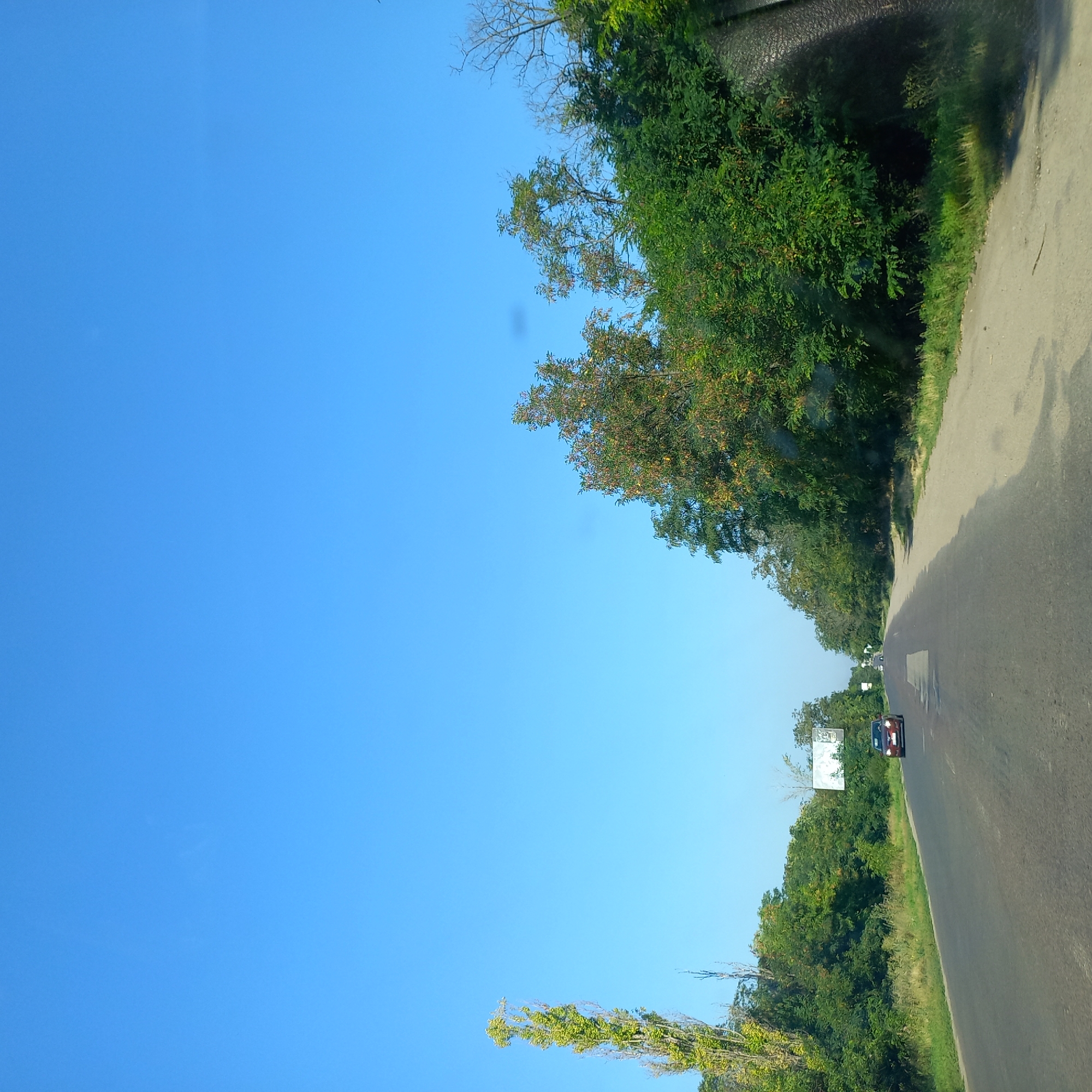 The image shows a road lined with trees on both sides under a clear blue sky. A single red car is driving on the road. There are billboards visible in the background. The environment appears to be rural or on the outskirts of a city. The scene is likely from Ukraine, possibly Kropyvnytskyi, given the general landscape.