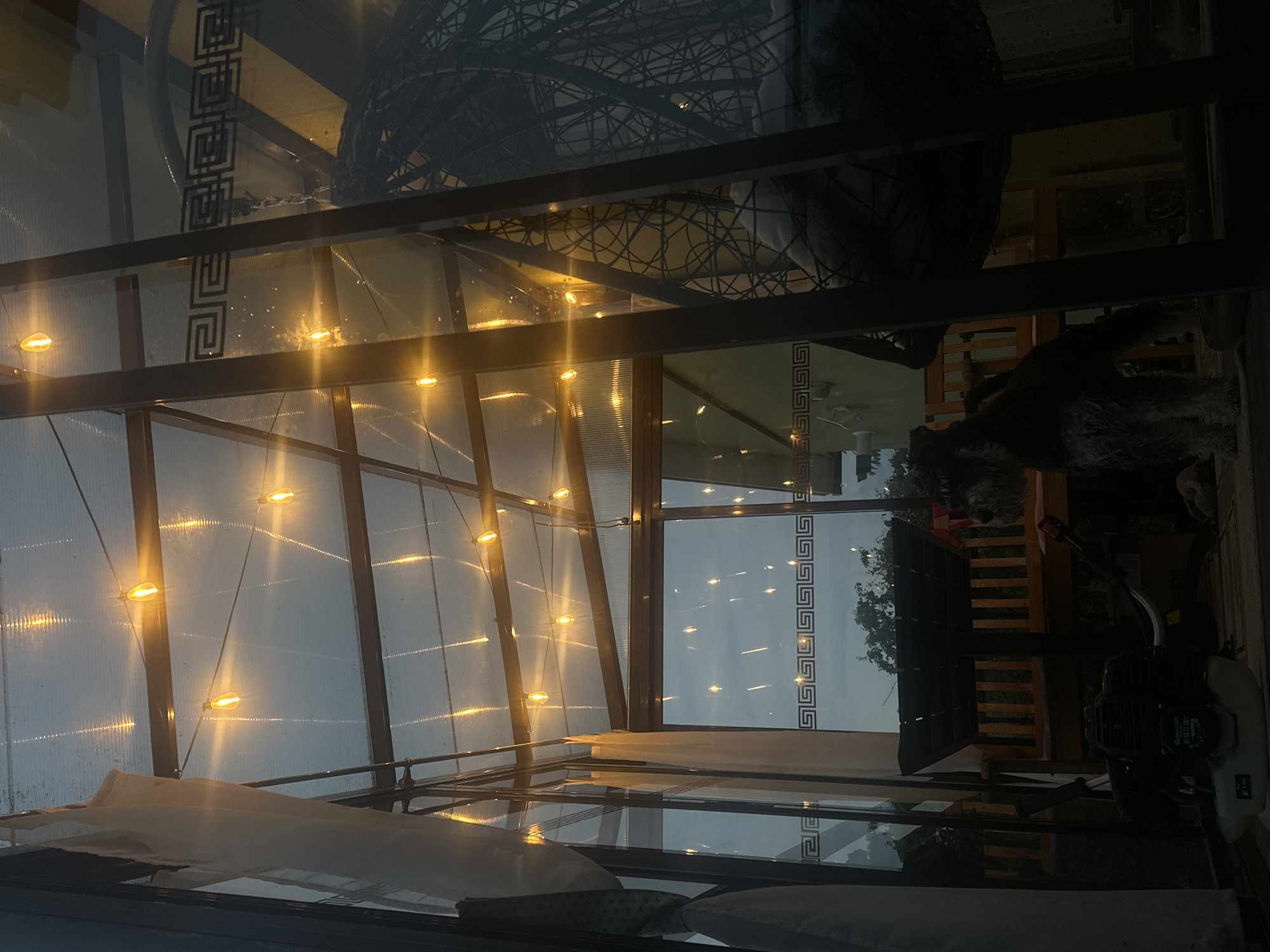 The image depicts a dimly lit greenhouse interior, likely in Lapės, Lithuania, as evidenced by the user's prompt. The ceiling is made of corrugated translucent material, illuminated by a string of warm yellow fairy lights. The structure appears to be made of dark metal framing. On the right side, a large, dark, woven hanging chair with cushions is visible. In the center of the frame, a small, shaggy dog, appearing to be a schnauzer mix, stands looking to the right. In front of the dog is a piece of garden equipment, possibly a string trimmer or leaf blower, with a black motor and white base. Behind the dog and equipment, a wooden bench with cushions is visible, and through the clear sections of the greenhouse, a dusky sky with faint tree silhouettes can be seen. Curtains hang on the left side of the frame.