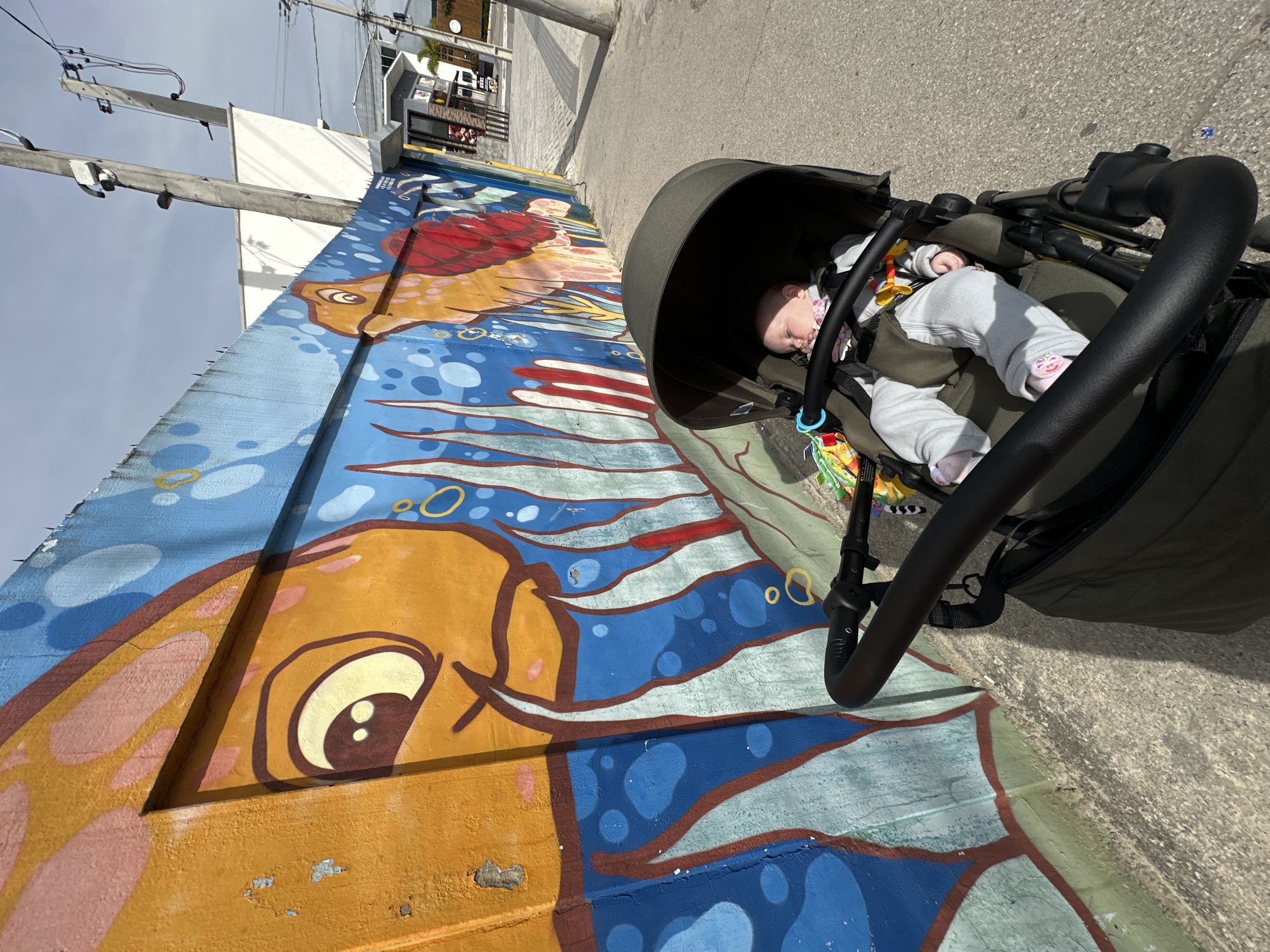 A baby is sleeping in a stroller parked next to a colorful mural on a concrete wall. The mural depicts cartoonish sea creatures, including a large orange fish with prominent eyes and what appears to be a red sea turtle. The wall is painted with bright blues, oranges, and yellows, with abstract shapes and bubbles. The stroller is dark green and has a canopy extended. The baby is dressed in light gray clothing and has pink socks. The scene appears to be outdoors, on a paved sidewalk, with a street and buildings visible in the background. There are utility poles with wires and what looks like a store or restaurant across the street. The weather is sunny, casting shadows on the ground. This mural and streetscape are located in the city of Florianópolis, Brazil, specifically in the Lagoa da Conceição neighborhood.