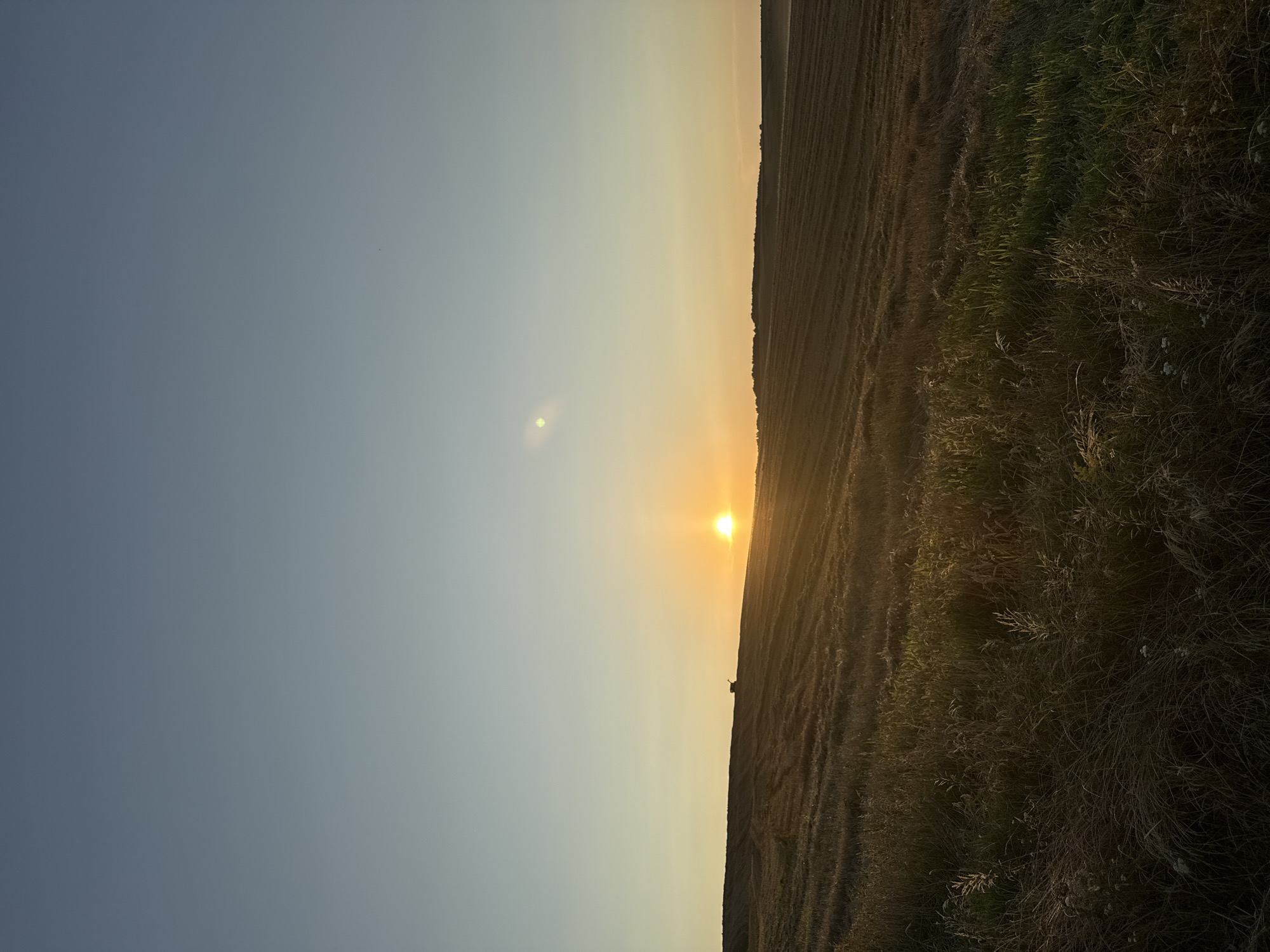 A wide shot captures a sun setting over a field in an unknown location. The sky transitions from a clear, pale blue at the top to a warm yellow and orange gradient near the horizon. A single, bright sun is partially visible on the horizon, casting a golden glow across the landscape. In the middle ground, a silhouette of agricultural machinery, possibly a combine harvester, is positioned on a ridge. The field itself appears to be a harvested crop, with visible rows and textures in the dried stalks. The foreground is filled with taller, greener grass, suggesting the edge of the field or an untended area. The overall impression is one of rural tranquility at dusk.