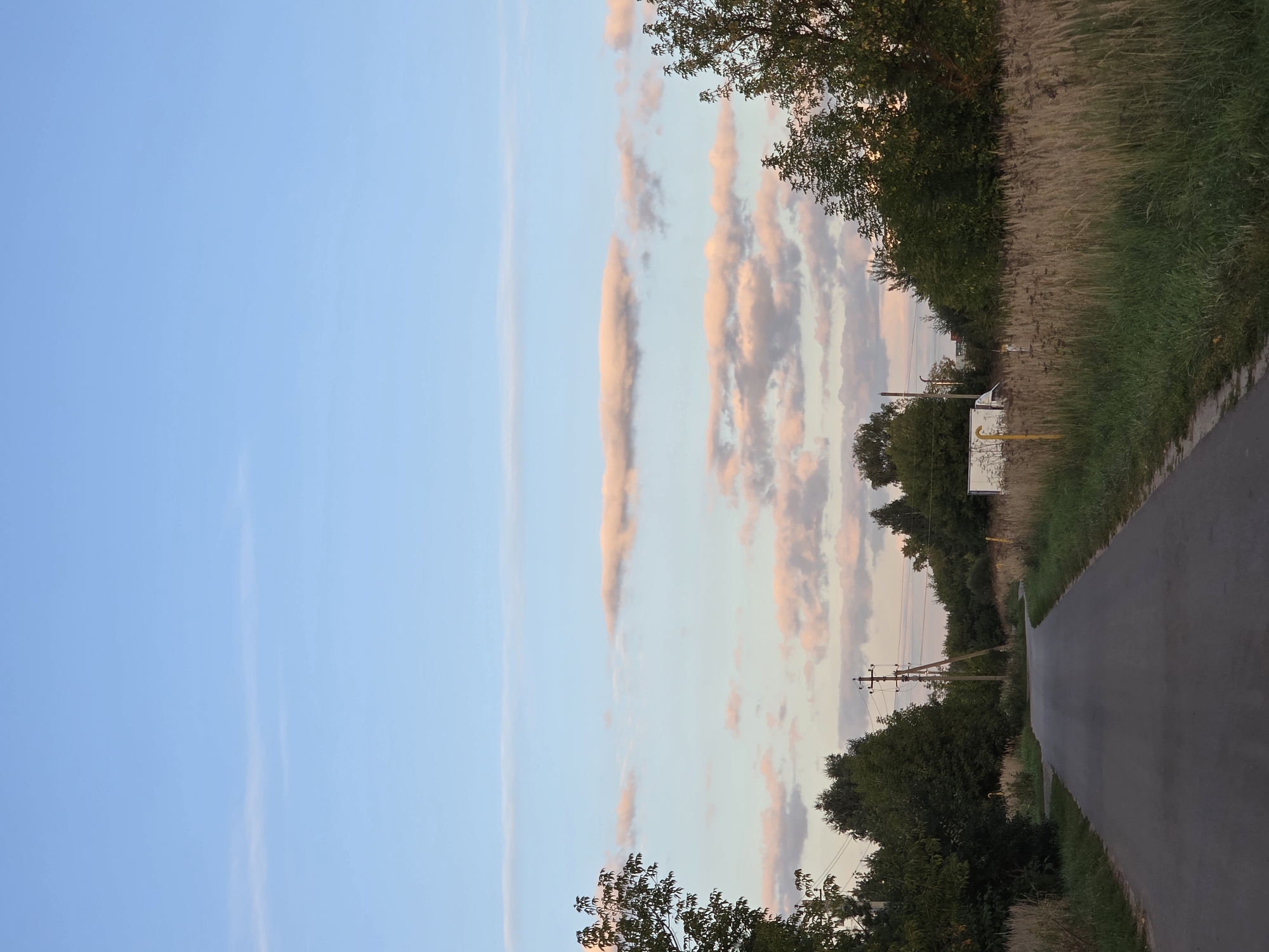 The image depicts a rural road winding through a landscape of trees and tall grasses. The sky is a pale blue with scattered, elongated clouds tinged with pink, suggesting either sunrise or sunset. On the left side of the road, a large tree with dark green foliage dominates the foreground. Further down the road, a utility pole with wires is visible. On the right side of the road, dry, golden grasses grow tall, interspersed with green grass. A white van is parked on the side of the road in the distance, partially obscured by trees. The overall scene is serene and natural. This scene is not located in Rechitsy, Russia.