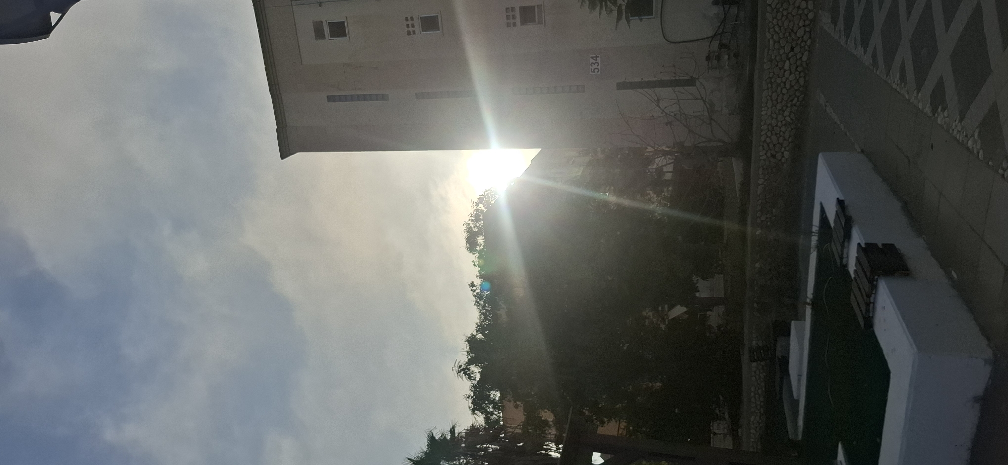 The image depicts a bright, sun-drenched scene with a building and trees in the foreground. The sun is positioned in the upper center-right of the frame, with strong lens flare obscuring a clear view of its disk. The sky is a pale blue with wispy white clouds, illuminated by the bright sunlight. To the right, a multi-story building with a light-colored facade stands prominently. Windows of various sizes and designs are visible on its side, and the number "534" is clearly marked on the wall. To the left of the building, lush green trees and palm trees are visible, their leaves silhouetted against the bright sky and sun. In the lower part of the image, a raised white planter box with dark wooden benches attached to its sides is visible, along with a pathway and a low stone wall. The overall impression is that of an outdoor urban or semi-urban setting, likely in Yerocham, Israel, experiencing a bright day with the sun at a moderate angle in the sky. There are no people visible in the image.