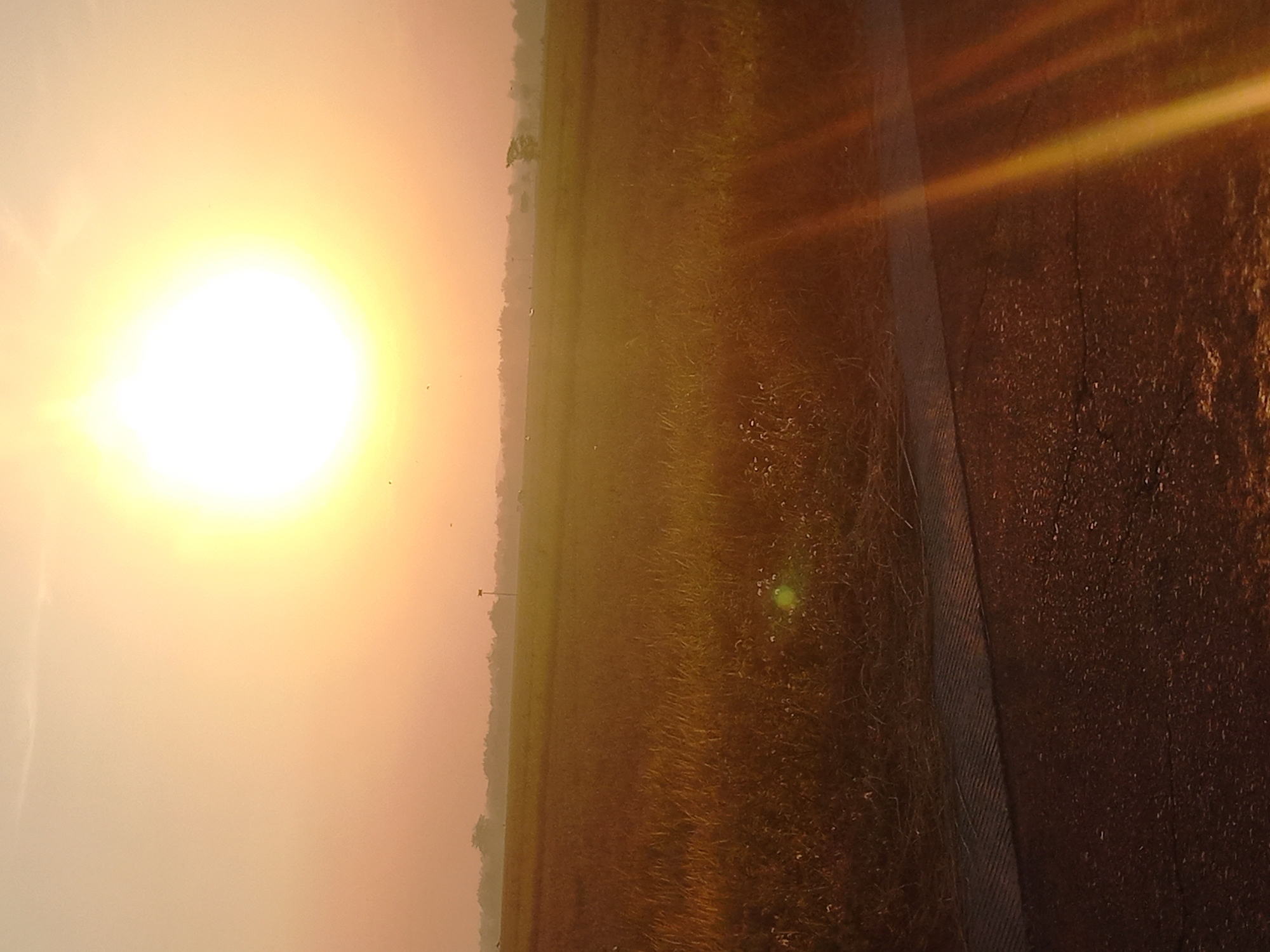 The image depicts a sun-drenched rural landscape in Megaluh, Indonesia. A large, bright sun dominates the upper portion of the frame, casting a warm, orange glow across the scene. Below the sun, a vast field of tall, golden grass stretches towards a distant treeline. The grass is interspersed with small white wildflowers. A paved road with a textured strip runs along the bottom of the image, reflecting the sunlight. The overall impression is one of a serene and tranquil morning or evening in a countryside setting. There are no people or animals visible in the image.