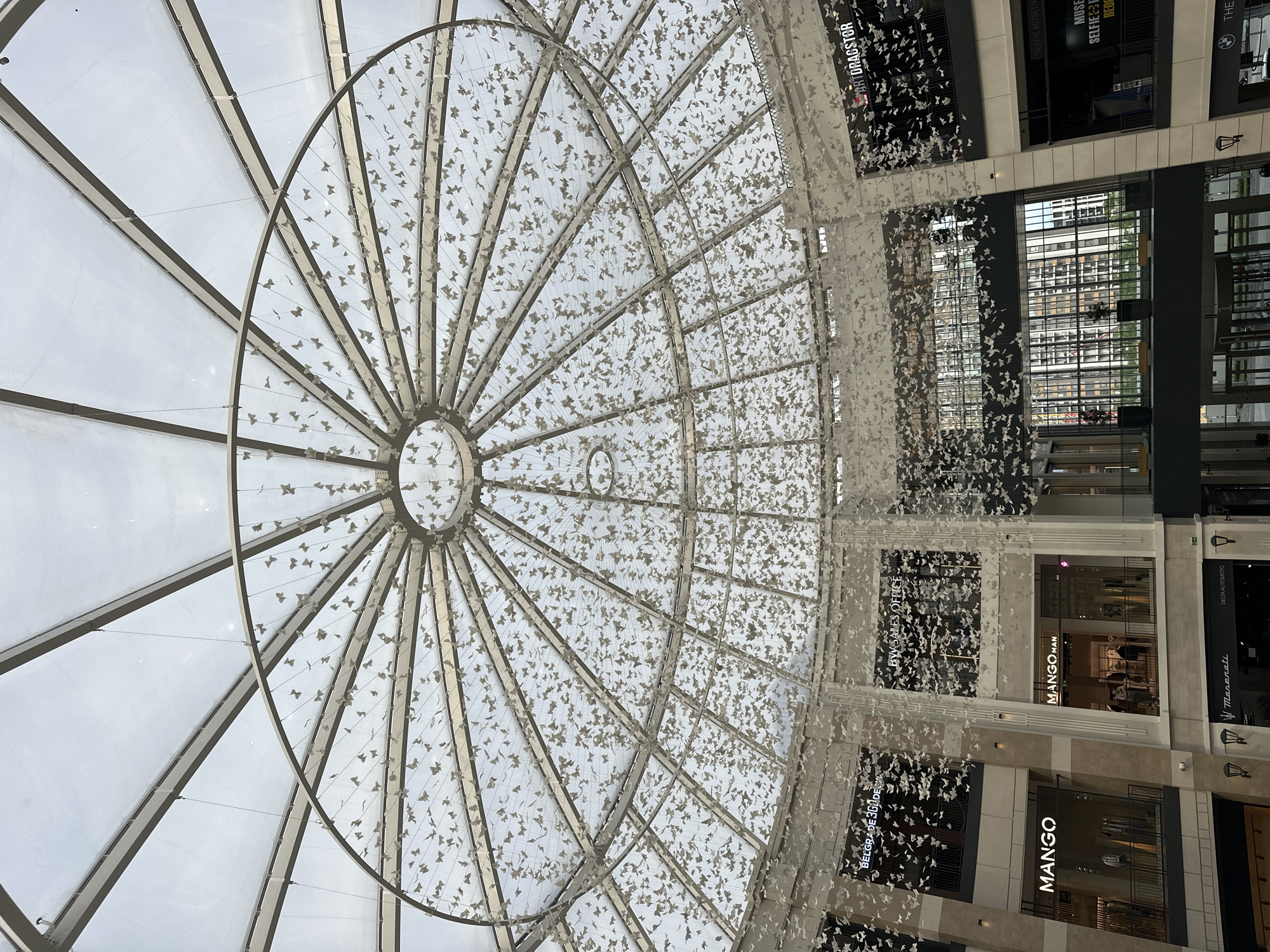 The image shows the interior of a shopping mall in Belgrade, Serbia. Overhead, there is a large, circular glass dome with a metal frame. Hundreds of small, decorative white butterfly-shaped objects are suspended from the dome and hang down into the open space below. Around the dome are multiple levels of shops. Several of the storefronts are identifiable, including Mango, Mango Man, and a "Selfie Museum Belgrade." A sign reads "BELGRADE 360 DE". Other visible signs include Maserati and DELTA AUTOMOTO. The overall environment suggests a modern and upscale retail space.