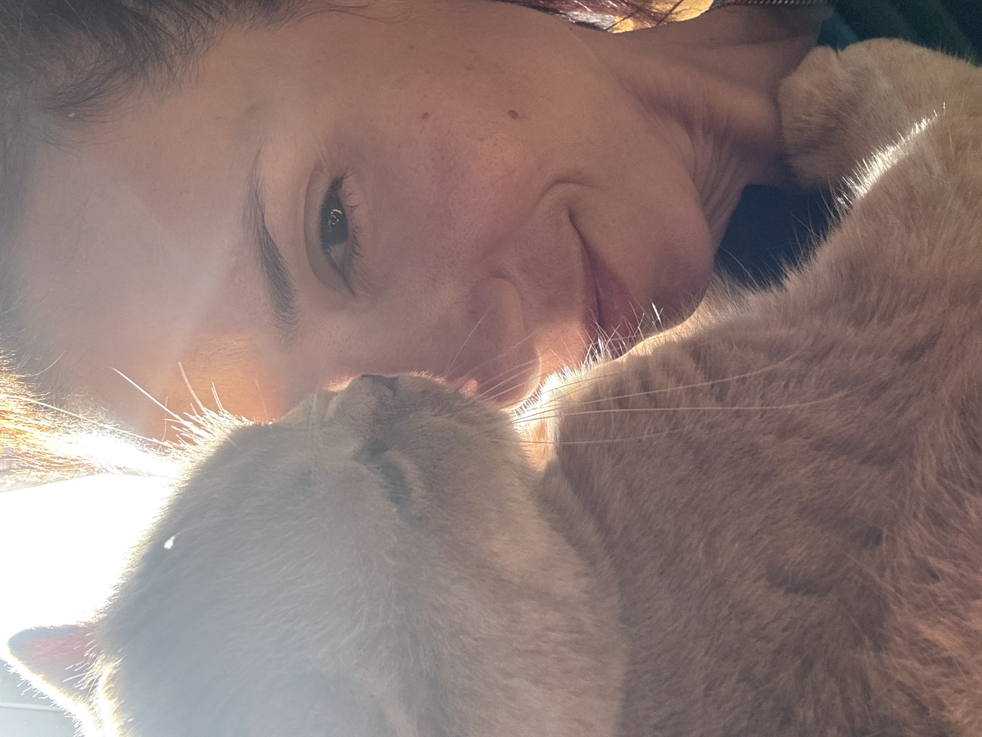 An outdoor close-up selfie shows a woman and an orange cat. The woman is in profile on the right, her face illuminated by warm sunlight. She has brown hair pulled back and is looking towards the cat. The cat is on the left, pressing its face against the woman's cheek. Its eyes are closed, and its mouth is slightly open, appearing to lick the woman's face. Both subjects are partially obscured by the bright sunlight and the close cropping of the image.