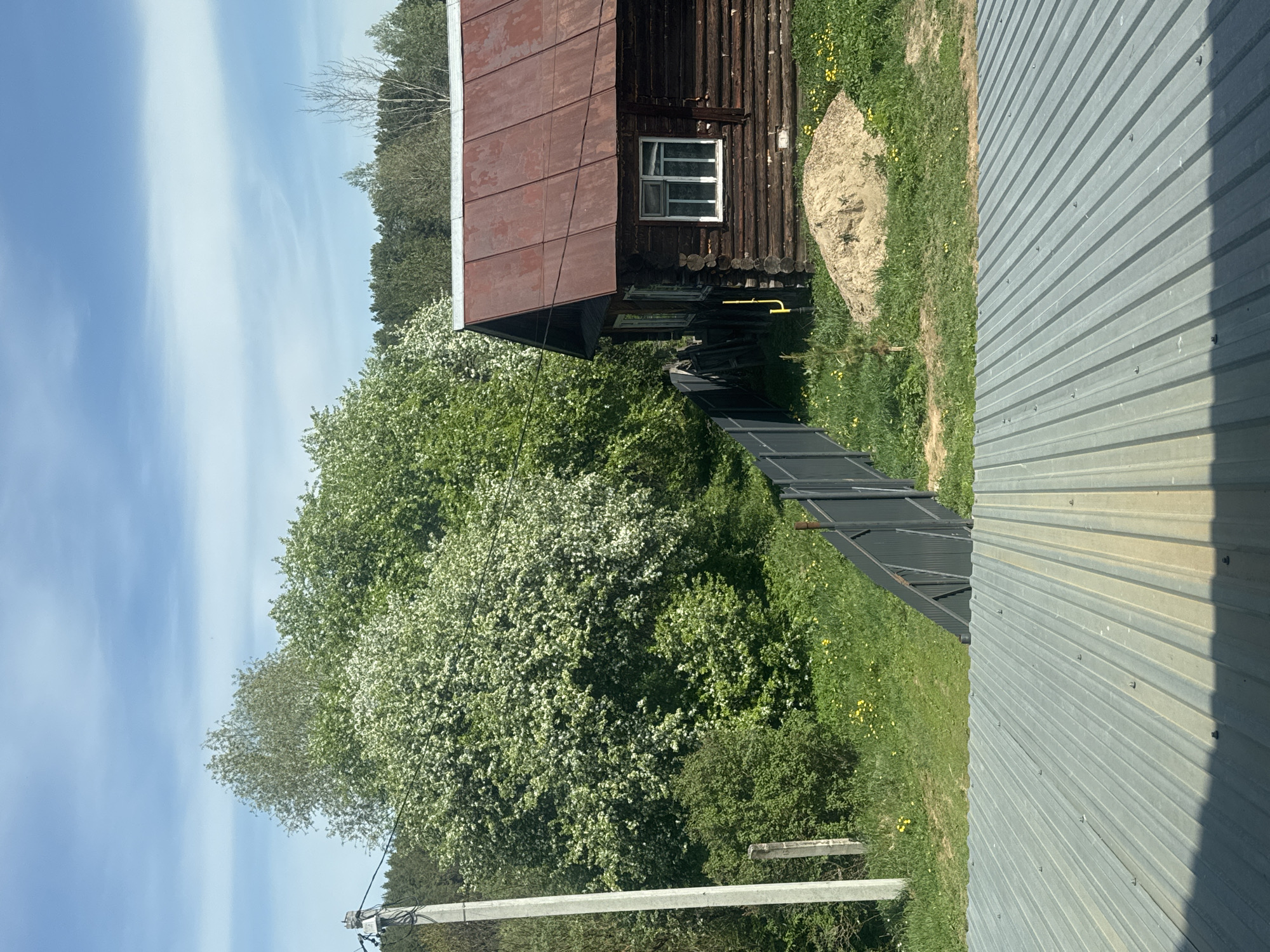 A landscape-oriented image shows a portion of the rural area around Rusalevka, Russia, likely on a clear day. A small, dark brown, rustic log cabin with a reddish-brown metal roof and a single white-framed window is partially visible. The cabin is partially obscured by lush greenery, including a tree with white blossoms. A dark metal fence runs from the cabin into the foreground. To the right, a corrugated metal structure, possibly a barn or shed, stands tall. In the lower foreground, a utility pole and some wooden planks are visible, while in the distance, a forest line is seen against the blue sky. The ground is covered in green grass, with patches of yellow flowers scattered throughout.