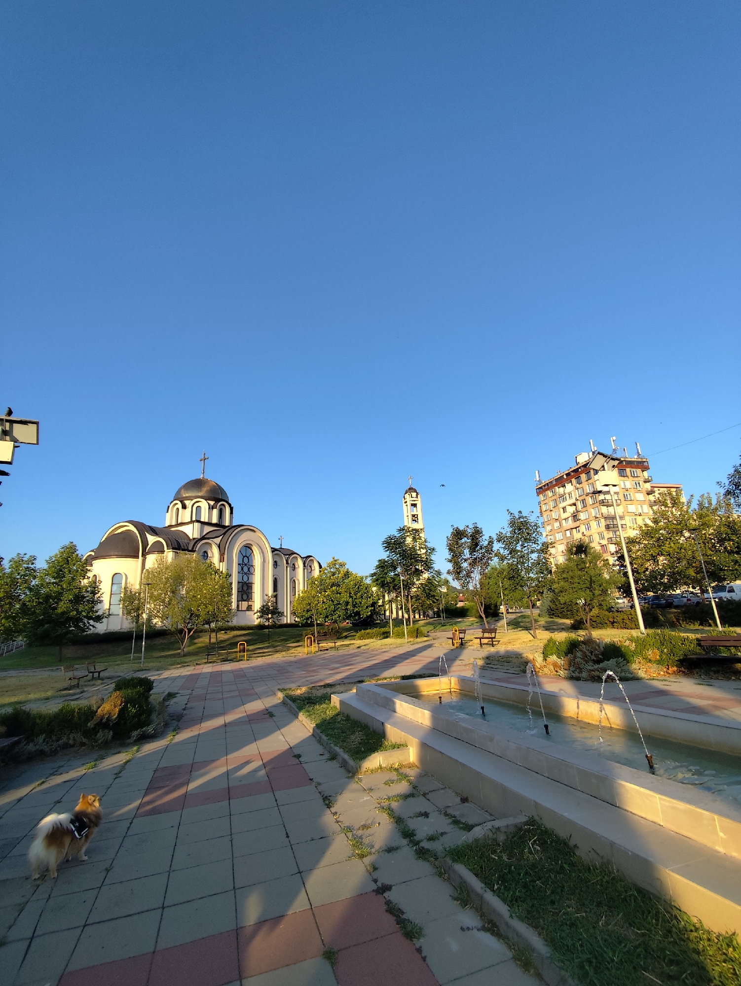 The image captures a wide-angle view of a public space in Montana, Bulgaria, bathed in the warm light of what appears to be late afternoon or early morning. Dominating the left side of the frame is a large, white Orthodox church with multiple domes, the central one topped with a cross. Adjacent to the church, and further to the left, is a tall, slender bell tower, also with a cross. Across the paved walkway and to the right of the church, a multi-story apartment building stands, characterized by its numerous windows and a visible array of antennas on its roof.
In the foreground, a paved walkway with a geometric pattern of light and dark square tiles runs diagonally across the scene. To the right of the walkway, a linear water fountain with three active spouts creates a dynamic element. The area around the fountain and walkway is landscaped with green grass and shrubs.
A small, light-colored dog with a fluffy tail, wearing a dark harness, is positioned on the paved walkway in the lower left quadrant, facing away from the camera and towards the church. Benches are visible in the background, suggesting a park-like setting. Trees with green foliage are scattered throughout the scene, some lining the walkway and others surrounding the buildings. The sky above is a clear, vibrant blue.
