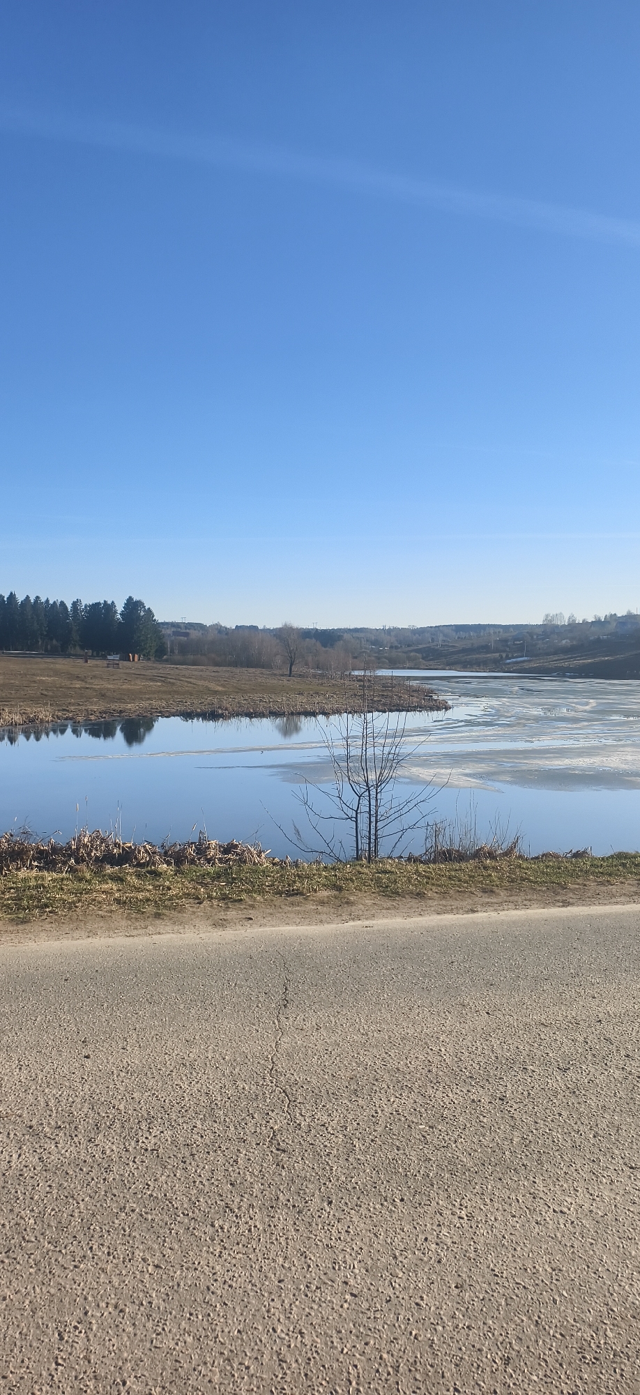 The image captures a serene rural landscape in Фоки, Russia, on a bright, clear day. In the foreground, a paved road, textured with small aggregate and showing a faint crack, occupies the bottom quarter of the frame. Immediately beyond the road is a narrow, dry grassy verge, leading to a body of water, likely a lake or wide river.
The water surface in the midground is calm, reflecting the clear blue sky and the surrounding land. A notable detail is the presence of ice covering a significant portion of the water on the right side of the frame, indicating cool temperatures, suggestive of late winter or early spring. Bare, dormant trees and dry reeds line the water's edge, with one prominent bare tree standing near the center, its delicate branches mirrored in the unfrozen water.
In the background, rolling terrain features a mix of deciduous trees, currently bare, and darker coniferous forests. Distant hills and fields stretch under a vast, cloudless blue sky. A faint, thin white line, possibly a contrail from an aircraft, is visible high in the sky.
No people are visible, and no specific activity is taking place, contributing to a peaceful and quiet atmosphere. The time of day appears to be sunny, with even lighting suggesting mid-morning or afternoon. There is no visible text in the image.