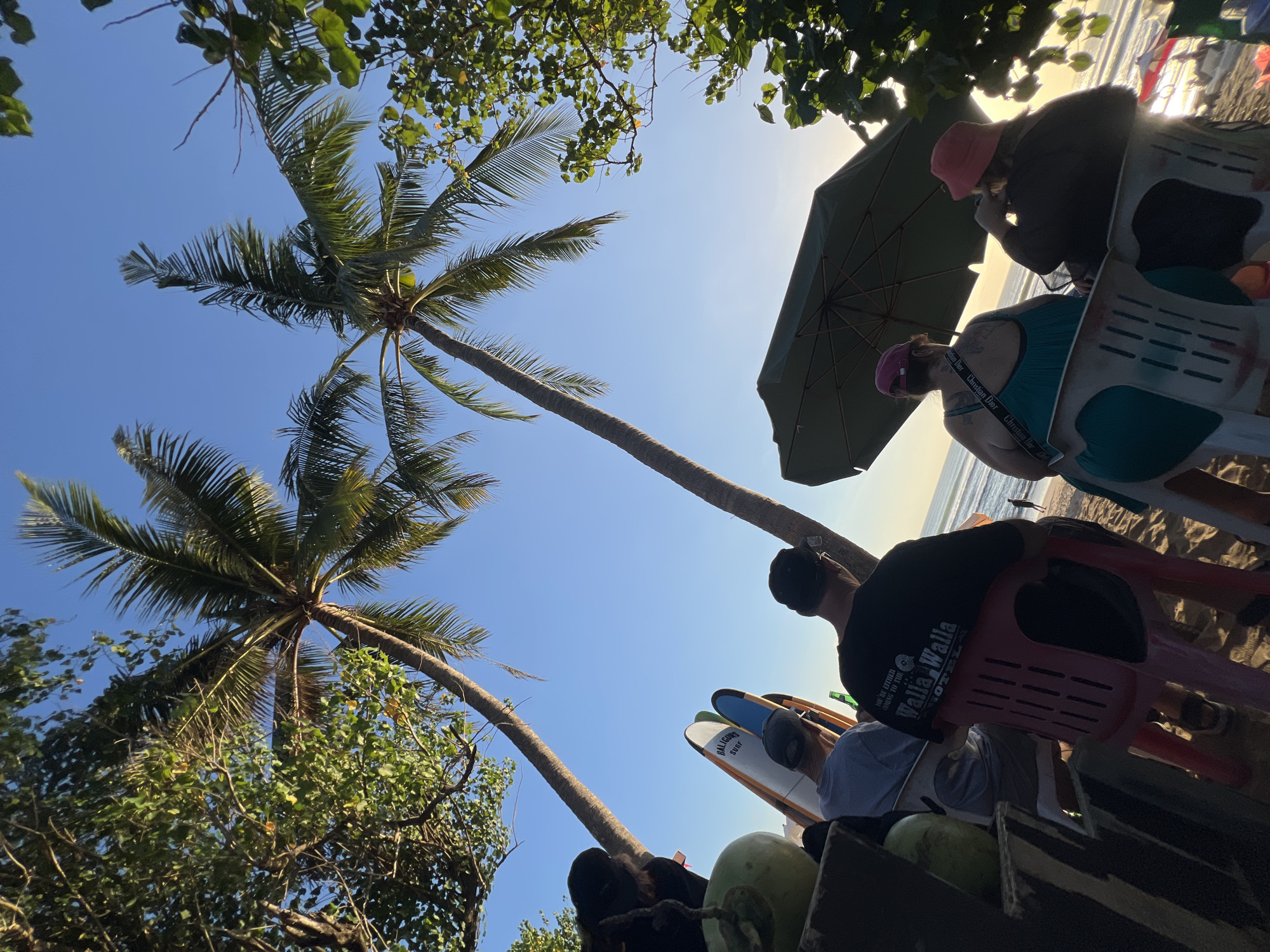 In Kuta, Indonesia, a group of people are enjoying a beachside view beneath palm trees. Two individuals are seated in plastic chairs, facing the ocean, with one wearing a teal dress and a pink hat, and the other a dark jacket and a red hat. An open green umbrella shades them. In the foreground, two men are seated, with one wearing a black t-shirt with "Walla Walla Hotel" printed on it and the other a gray t-shirt. Several surfboards are propped up nearby, along with coconuts. The scene captures a relaxed atmosphere with the gentle waves of the ocean in the background.