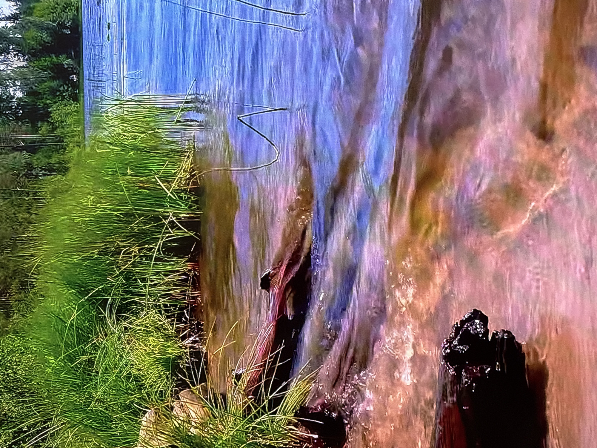 This is a close-up, eye-level shot of the edge of a body of water, likely a river or lake. In the foreground, a dark, rough log rests partially submerged in the water at the shoreline. The water itself is a gradient of colors, reflecting the surrounding environment, with hues of pink, purple, and blue visible. The shoreline is composed of reddish-brown earth and pebbles. To the left, tall, vibrant green grass grows densely along the bank, with some rocks visible amongst it. The water extends into the background, where it appears calm and blue, meeting a tree line with tall, slender trees. The overall scene suggests a natural, serene environment, possibly a park or natural reserve within the city of Krasnokamsk, Russia, on a bright, sunny day. No people are present in the image.