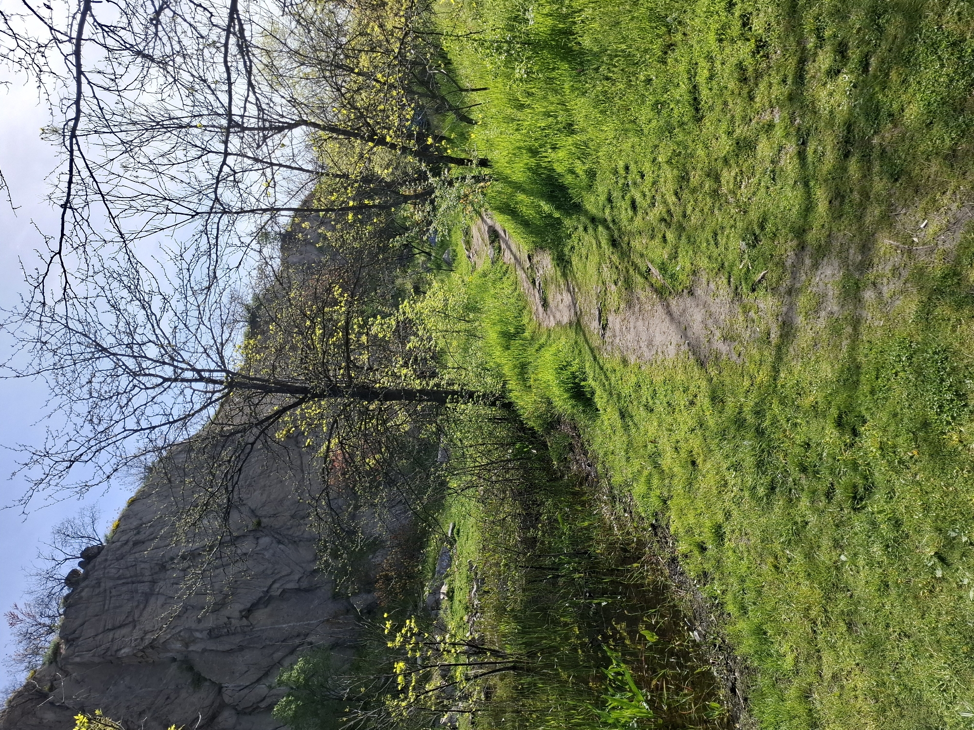 This media file captures a vibrant natural landscape, likely in Plovdiv, Bulgaria, during a sunny spring day.
The scene features a steep, grey rocky cliff face on the left, with visible geological textures and sparse vegetation clinging to its surface. Against the clear, bright sky above the cliff, the silhouettes of bare tree branches are visible, some already showing small, light green leaves budding, indicating early spring.
In the midground and foreground, lush, bright green grass covers the terrain. A winding, well-trodden dirt path cuts through this verdant expanse, suggesting a walking trail. Shadows of unseen trees stretch across the grassy areas and the path, highlighting the strong sunlight.
Along the very bottom of the image, a narrow body of water, possibly a stream or a pond, is visible, reflecting the surrounding greenery. Tall reeds and other aquatic plants grow along its banks. The image conveys a sense of peaceful natural beauty. No human activity or visible text is present.