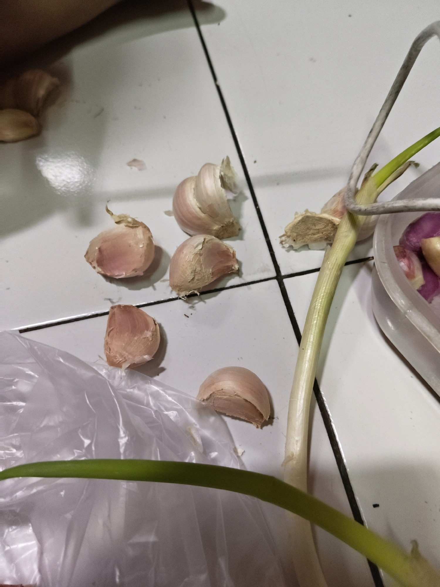 In Sumberwono, Indonesia, a close-up shot captures a collection of garlic cloves scattered across a tiled surface. The tiles are white with dark grout lines, and some appear slightly worn. Among the scattered cloves, a plastic bag lies partially visible, its crinkled texture contrasting with the smooth tiles. A part of a person's arm, lightly tanned, is visible in the upper left corner, suggesting human presence in the scene. A long, green stalk of an allium, possibly a young leek or green onion, extends from the right side of the frame, its stem light yellow and slightly translucent, hinting at recent preparation or growth. The overall lighting is dim, casting subtle shadows and highlighting the textures of the garlic skins and the plastic.