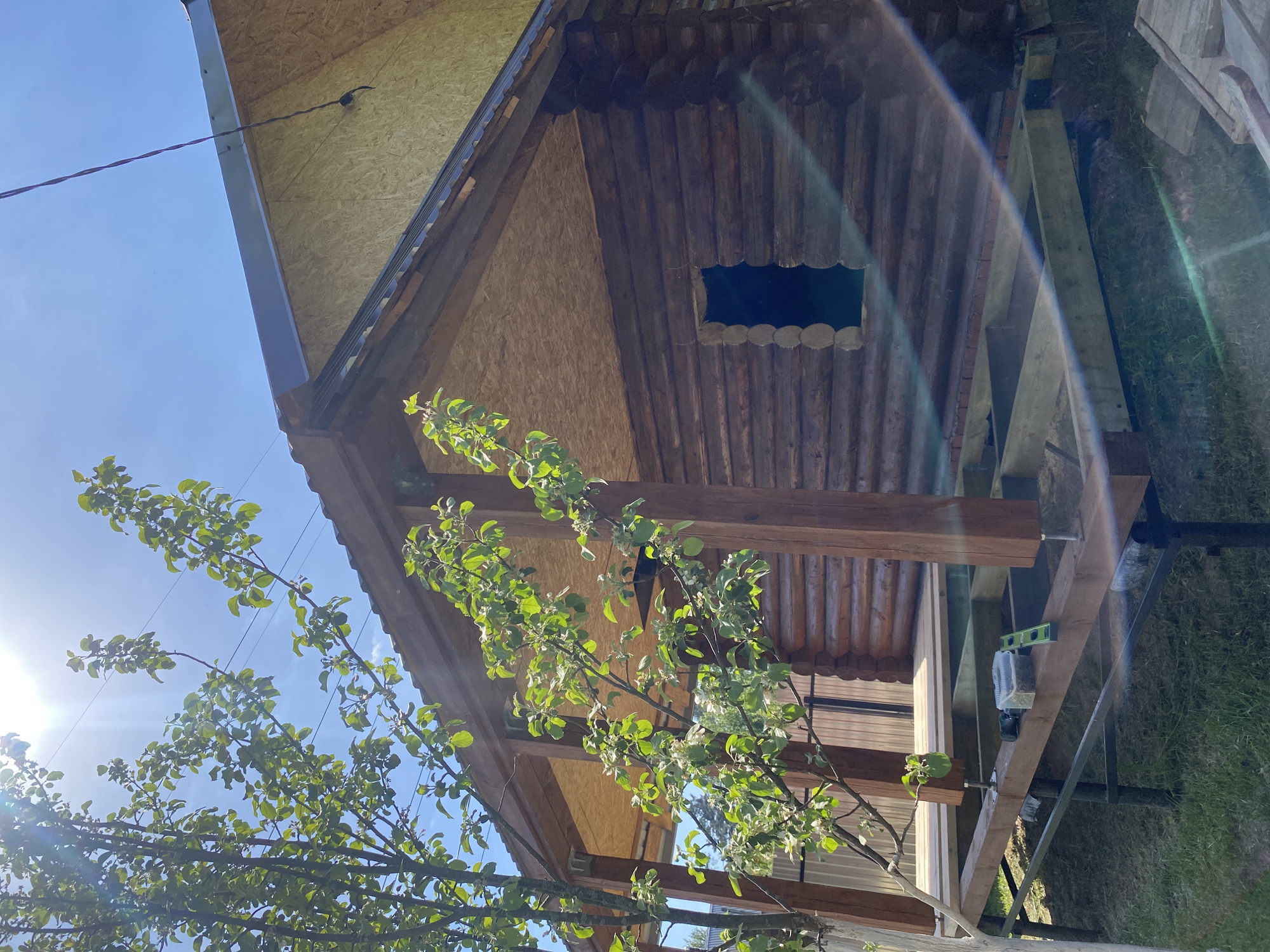 The image shows the exterior of a wooden cabin or shed under construction, likely located in a rural or suburban area near Chaikovsky, Russia. The cabin appears to be built with log walls and a gable roof, partially covered with plywood. A small, irregularly shaped window is visible in the log wall. The cabin is elevated on a metal frame supported by wooden beams, with construction tools and materials scattered around. In the foreground, a tree branch with green leaves and blossoms partially obscures the view. The sky is blue with a bright sun visible in the upper left.