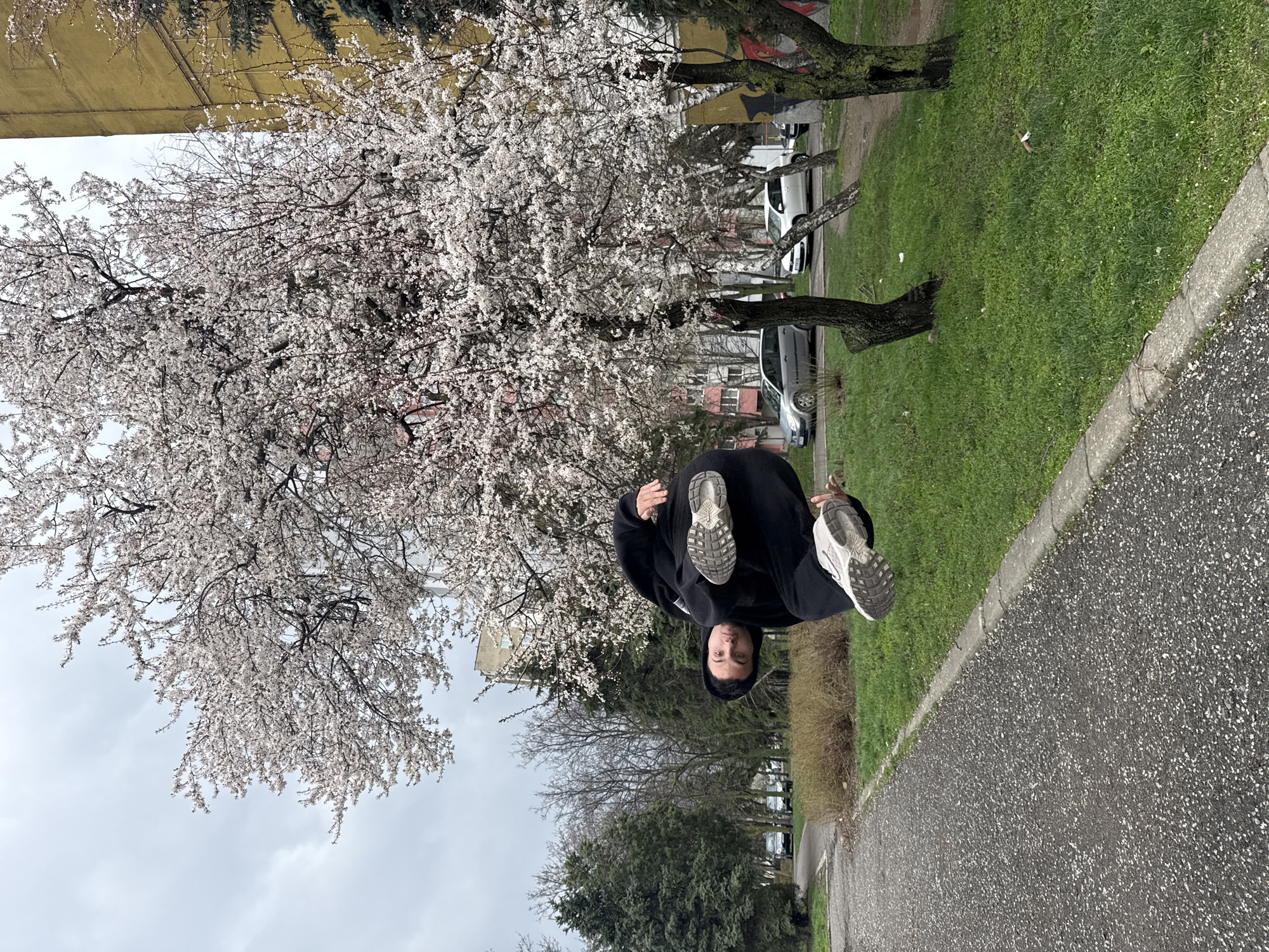 A street scene in Shumen, Bulgaria, features a person wearing a black hooded sweatshirt and holding up their legs with athletic shoes visible. The person appears to be upside down, positioned in front of a tree with white blossoms. A paved walkway borders the scene, and grass is visible alongside the path, where other trees line the street, and parked vehicles are in the distance. The sky is overcast. A building is visible behind the trees with white blossoms.