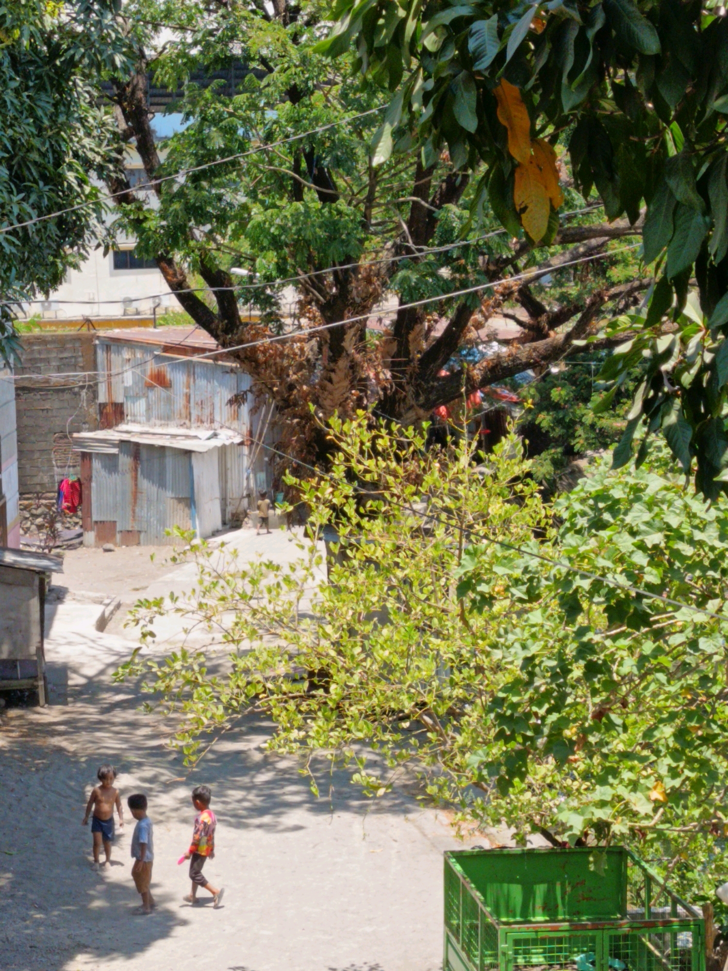 The image depicts a street scene in Makassar, Indonesia, characterized by a mix of residential structures and lush vegetation. In the foreground, three young boys are visible on a dirt path. One boy, wearing blue shorts, stands to the left. To his right, another boy in a gray t-shirt and tan shorts stands facing away. The third boy, on the right, wears a colorful shirt and dark pants and is holding a pink object.
Behind the boys, several structures are present. To the left, a portion of a building with a light-colored facade is visible. Adjacent to this is a cluster of buildings constructed with corrugated metal, appearing to be makeshift dwellings or storage units. Clothes, including a red and blue garment, are hanging on a line near these structures.
Dominating the background is a large, mature tree with extensive branches and dense green foliage. Other trees and greenery are interspersed throughout the scene, creating a natural, somewhat overgrown environment within the urban setting. A bright green metal cage or bin is situated in the lower right portion of the frame. The ground appears to be a mixture of dirt and sand, with shadows cast by the trees suggesting a bright, sunny day. The overall impression is one of a lived-in, modest urban environment with a strong presence of natural elements.