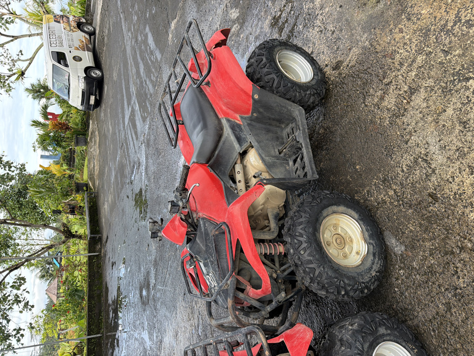 A red ATV sits parked on an asphalt surface. It has black trim, large tires, and metal cargo racks. A white van with "Celebrity Bakery" printed on the side is parked in the background. Lush green foliage and trees fill the scene. The environment seems tropical, suggesting a warm climate. The asphalt surface is wet, indicating recent rain or cleaning.