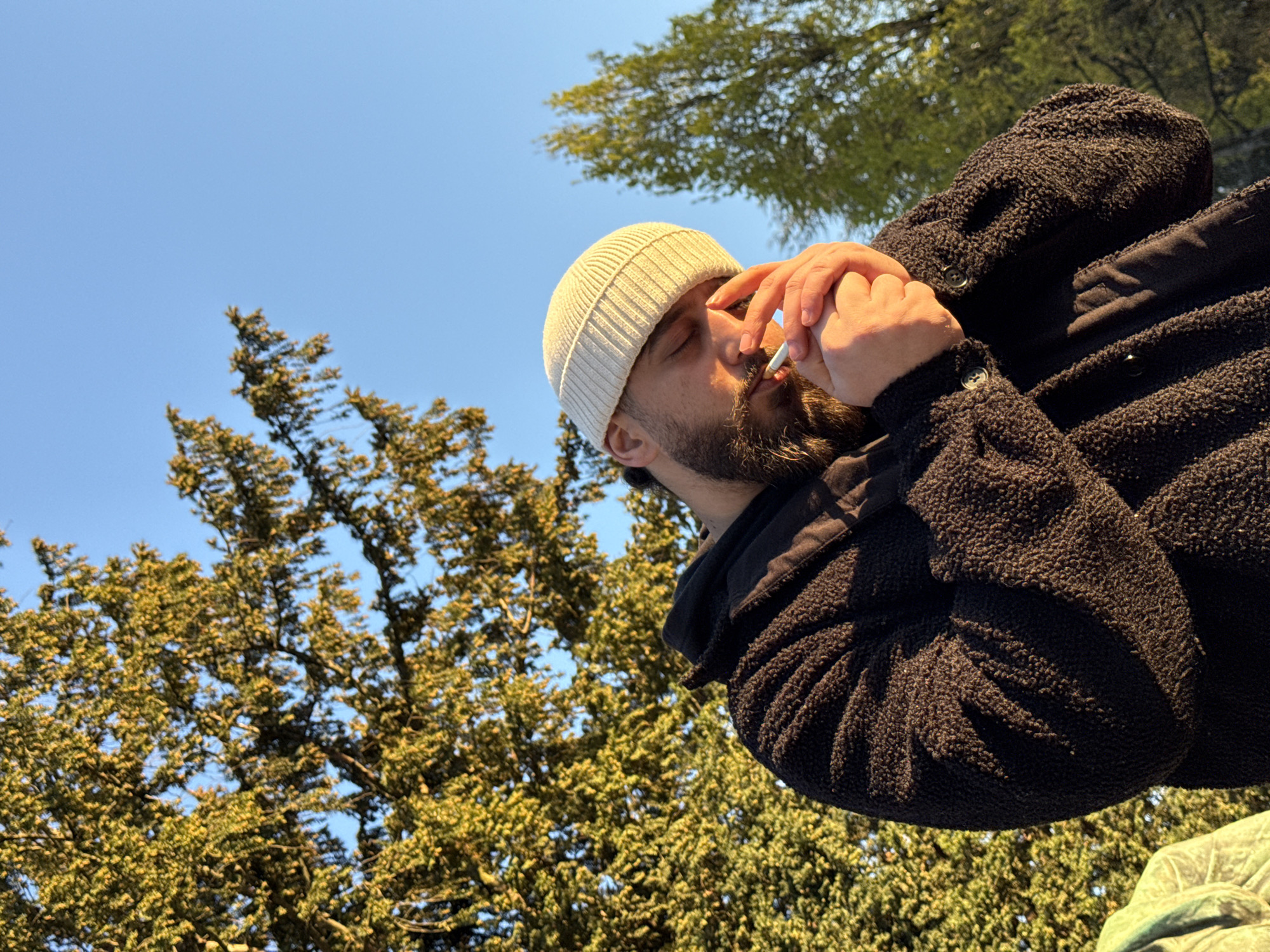 The image displays an adult male in an outdoor environment, illuminated by warm, directional sunlight, suggesting either late afternoon or early morning. He is depicted in a medium-close shot, with a slight upward angle, from the mid-torso upwards. The subject has a full beard and mustache, with dark hair visible beneath a cream-colored, ribbed knit beanie. He wears a dark, textured, possibly fleece or sherpa, jacket over a darker hooded garment. His eyes are closed or cast downwards. His hands are cupped together near his mouth, holding a white-tipped cigarette in his mouth while actively operating a lighter to ignite it. The background consists of a clear blue sky and a dense canopy of trees with green and yellowish-green foliage. A large tree with numerous leaves occupies the left and upper-middle portions of the frame, with additional lighter green foliage visible on the right. The precise location within Strasbourg, France, is not identifiable from the visual content; the scene indicates a park or natural green space.