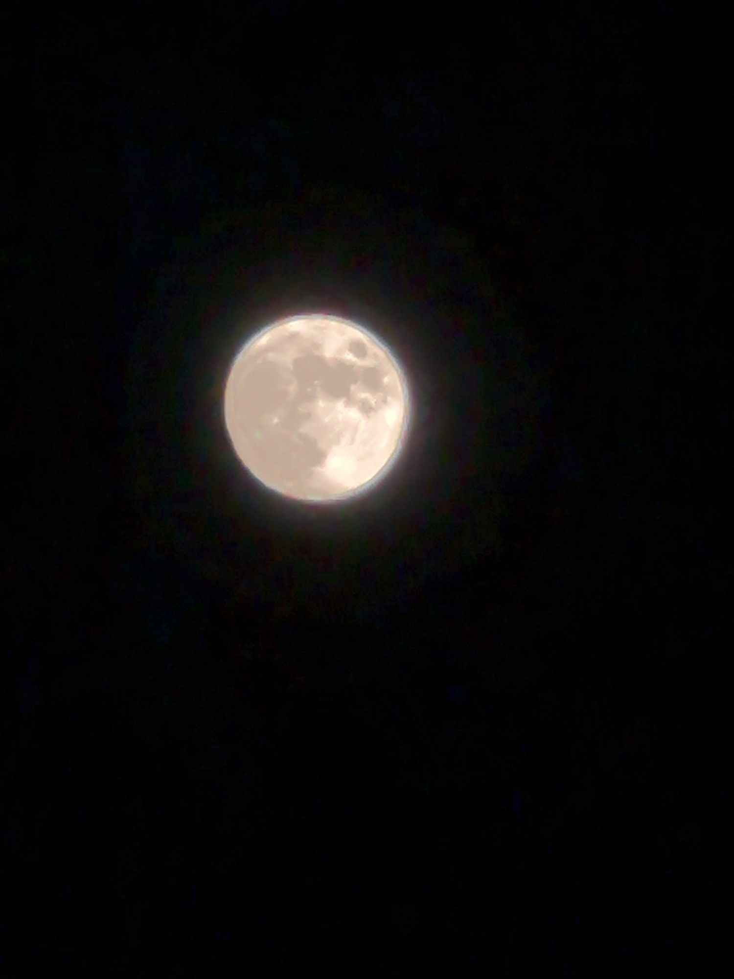 The image shows a full moon against a black sky. There is no information available in the image to determine its location as Noviy, Russia, or any other location. No people, subjects, objects, actions, or interactions are visible beyond the moon itself. The environment is a dark, clear night sky.