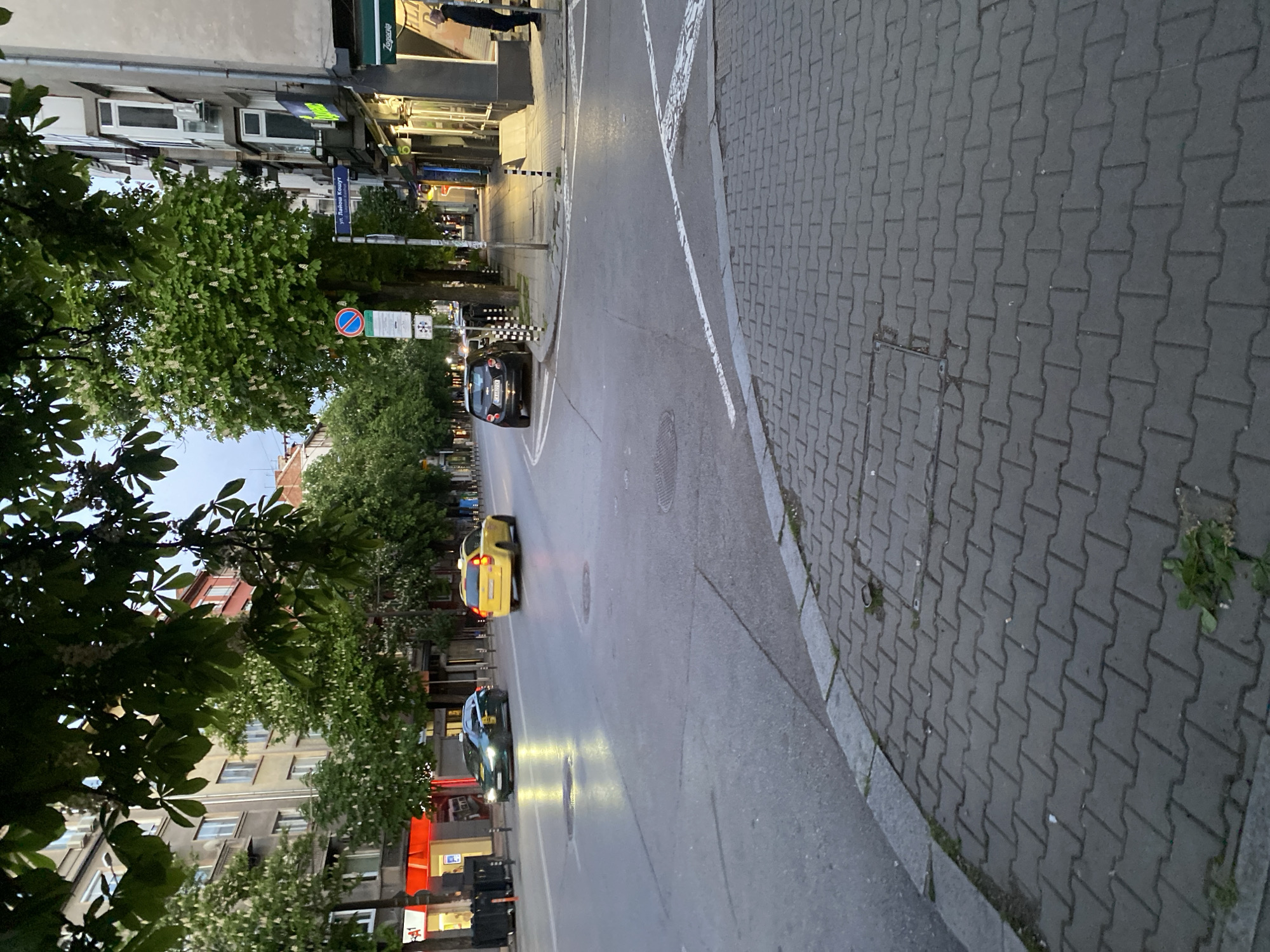 The image captures a street scene in Sofia, Bulgaria. On the left side of the frame are buildings with trees lining the sidewalk. The road is asphalt, with white markings indicating lanes and a pedestrian crossing. Several cars are visible on the road. The sidewalk is paved with grey interlocking bricks. A street sign with Cyrillic text is visible. A person is visible on the sidewalk in the distance.