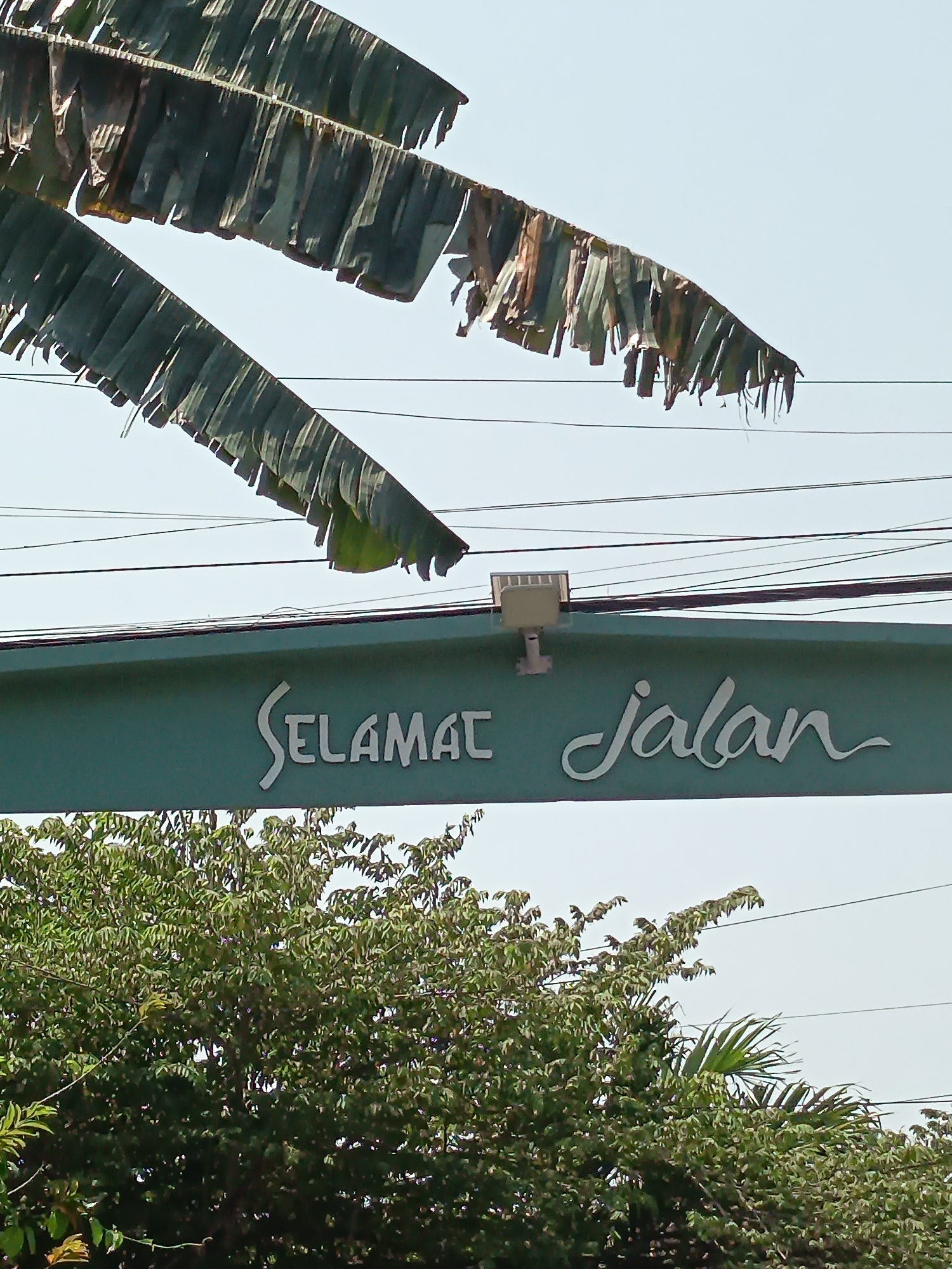 The image shows a teal-colored archway with "SELAMAT Jalan" written in white script. Above the archway are several strings of dried banana leaves, serving as a form of decoration. The archway is adorned with a small, rectangular light fixture. Power lines are visible crisscrossing the sky behind the arch. In the foreground, lush green trees with some purple flowers partially obscure the lower portion of the archway. The scene appears to be an entrance to a street or area, possibly in Kandangjati Wetan, Indonesia, given the context of the text. The lighting suggests it is daytime.