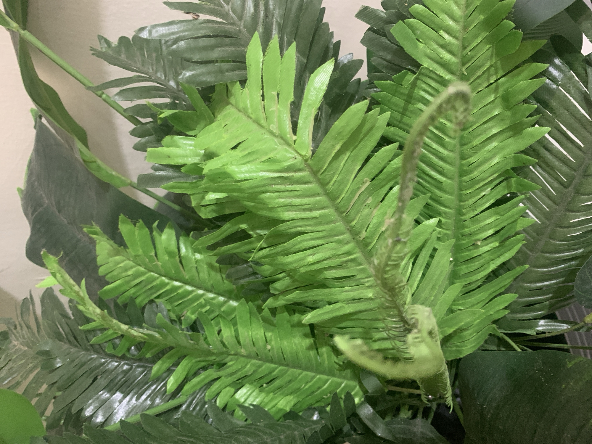 This is a close-up, eye-level shot of artificial green foliage. The main focus is on a bright green fern leaf that appears to be unfurling, with a coiled frond visible in the foreground. Behind it, other artificial leaves, some in a darker green, are layered and out of focus. The lighting suggests an indoor setting, possibly with a plain, light-colored wall in the background. There is no indication of Kuala Pembuang, Indonesia, or any specific environmental or human elements.