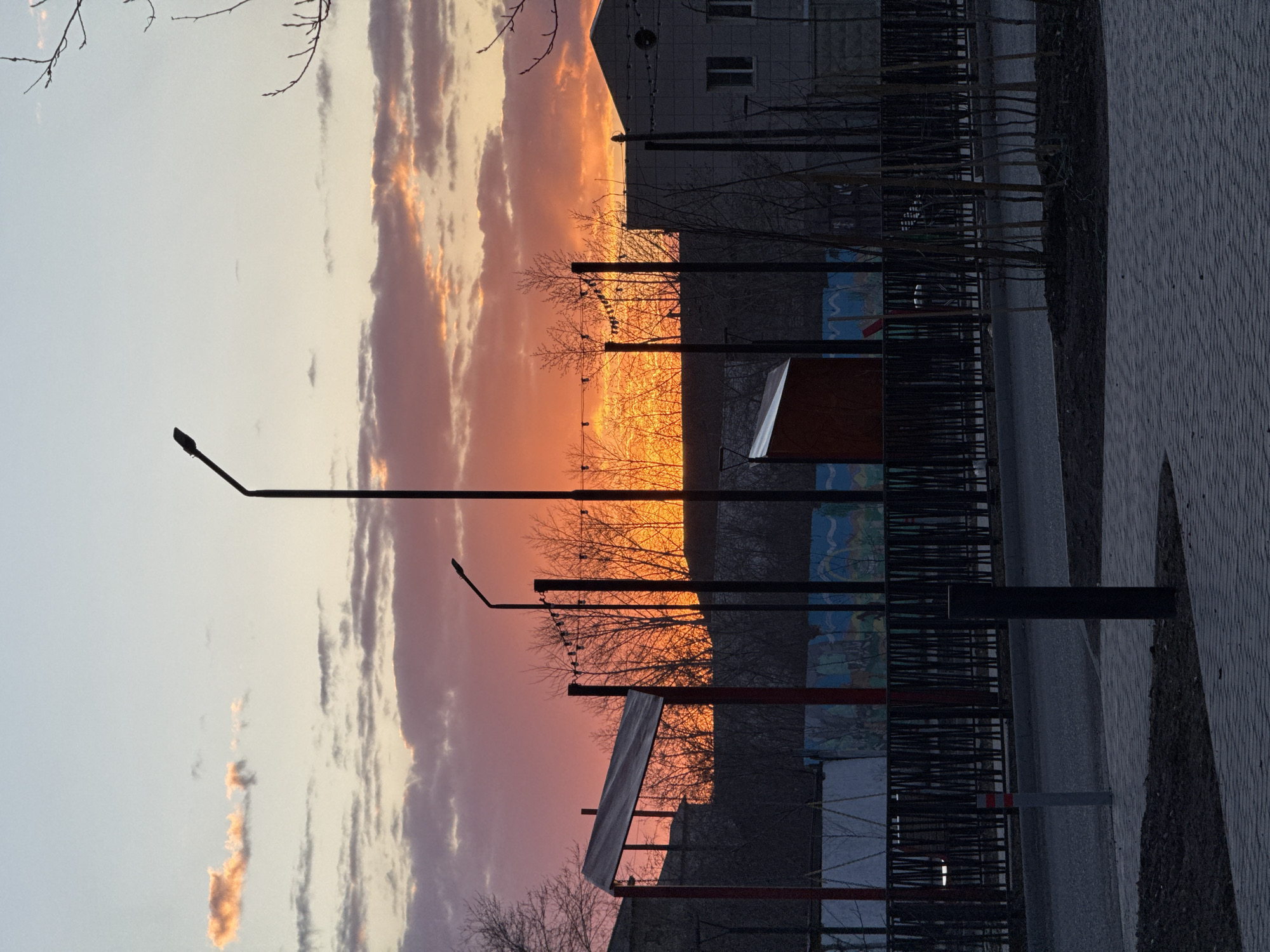 The image captures a dramatic sunset scene in Borzya, Russia, where the sun's warm light illuminates the sky. The horizon is ablaze with vibrant hues of orange, red, and pink, gradually fading into lighter tones of grey and pale blue higher up. Clouds stretch across the sky, catching the sunset's glow and appearing in elongated, fiery streaks and darker forms.
In the foreground and midground, various urban elements are largely cast into dark silhouette against the brilliant sky. Several tall streetlights with single lamps stand prominently, their dark vertical forms reaching into the colorful expanse. Bare deciduous trees and bushes, possibly in late autumn or winter, form a dense, intricate outline, their branches silhouetted against the bright light. A line of small birds is visible perched along what appears to be a power line or branch spanning between two poles.
To the right, a large, multi-story building, likely a residential block, is discernible as a dark shape against the glowing backdrop, with faint suggestions of windows. Below this building, a long, structured fence or barrier is present, behind which a section of a colorful mural or painted wall can be vaguely seen. A small, angular, dark-colored shed or structure is also visible in the midground.
The ground in the immediate foreground features a paved area with a distinctive brick-like pattern, possibly a sidewalk or pathway, alongside a darker, unpaved strip of ground. The intense backlighting from the sunset creates a striking contrast between the luminous sky and the dark, silhouetted terrestrial elements, lending a serene yet dramatic atmosphere to the urban landscape. No discernible text is visible within the frame.