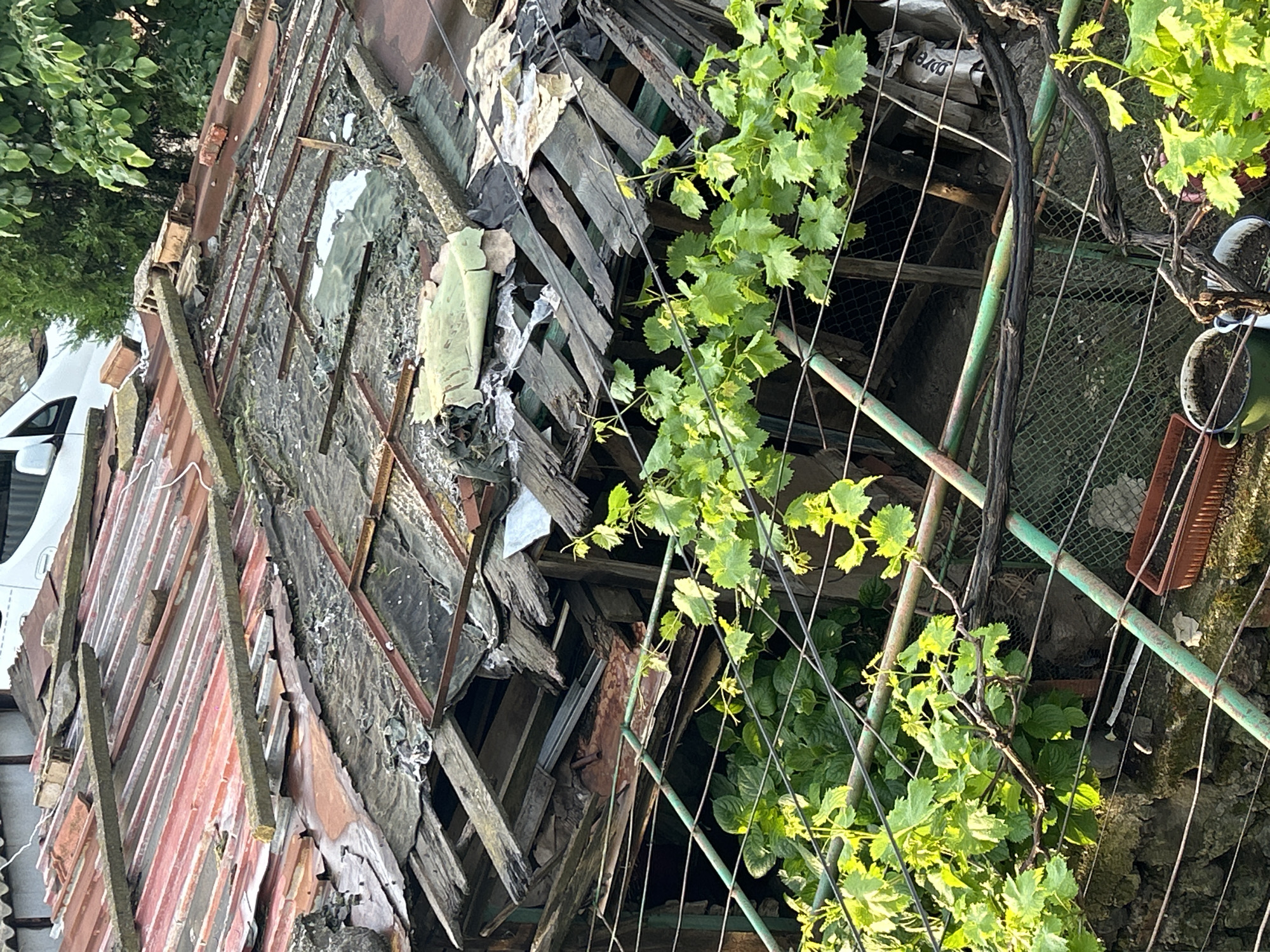 An outdoor scene shows a dilapidated structure, potentially a shed or outbuilding, with significant damage to its roof. The roof appears to be made of a combination of materials, including weathered wood planks and corrugated metal sheets, some of which are detached or broken. There are also remnants of what looks like tar paper or roofing felt. The structure's frame is visible through the damaged roof, revealing a network of wooden beams and supports.
Green foliage, possibly vines, grows along the side of the structure, adding a touch of nature to the scene. Various items are visible within the structure's frame, including what appears to be discarded debris and some potted plants. A section of chain-link fencing is also visible, adding to the overall sense of disrepair. A vehicle is partially visible in the background. There is no evidence of people present. Without a clearly visible sign, it is difficult to confirm the location in Burgas, Bulgaria.