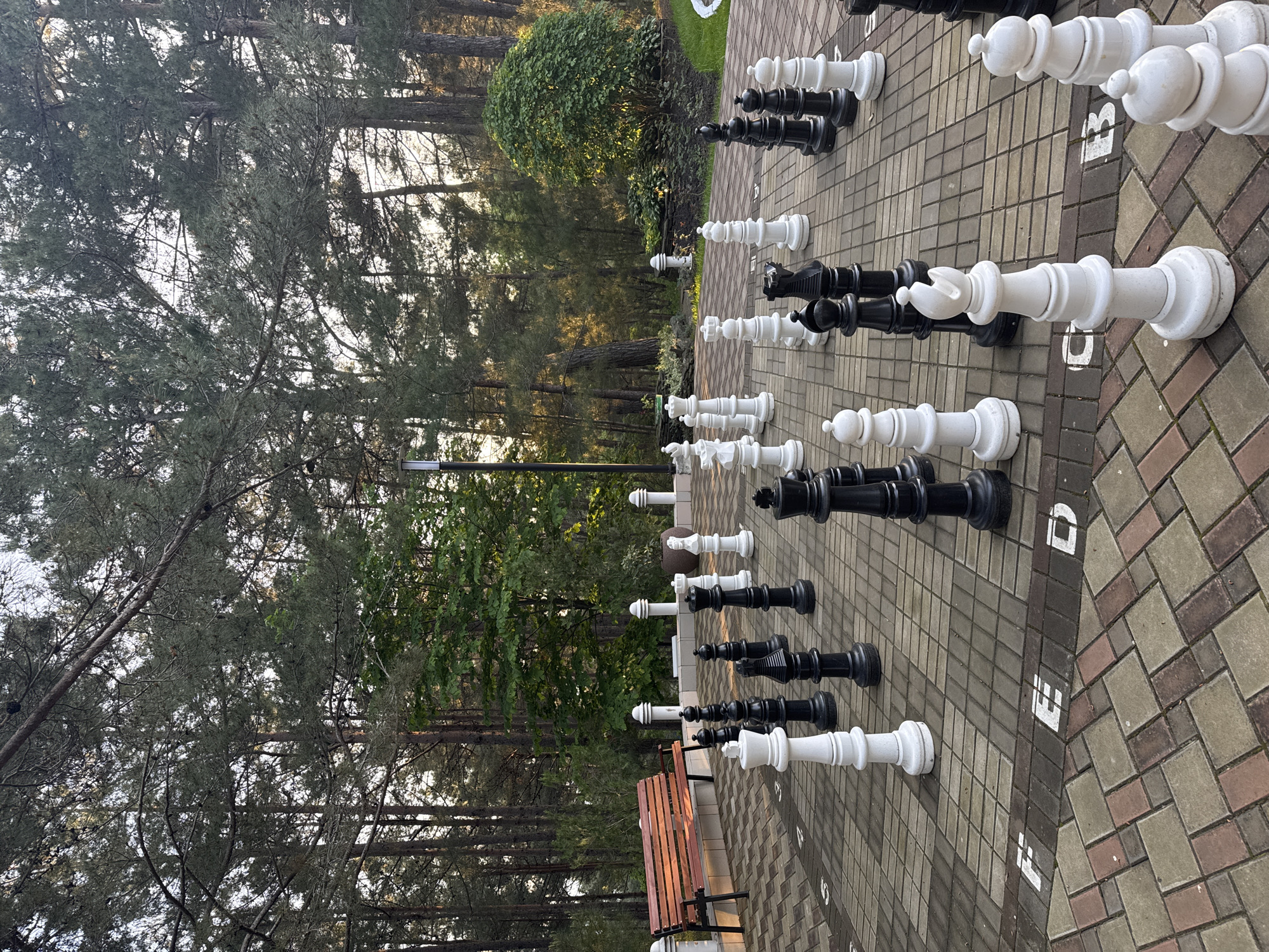 The image depicts a large, outdoor chess set placed on a brick-paved surface in Sosnovy Bor, Russia. The chess pieces, both black and white, are oversized and made of what appears to be a solid material. The chess board is marked with lettered squares. A wooden bench is situated next to the board. In the background, trees create a natural backdrop to the scene. The lighting suggests either early morning or late afternoon.