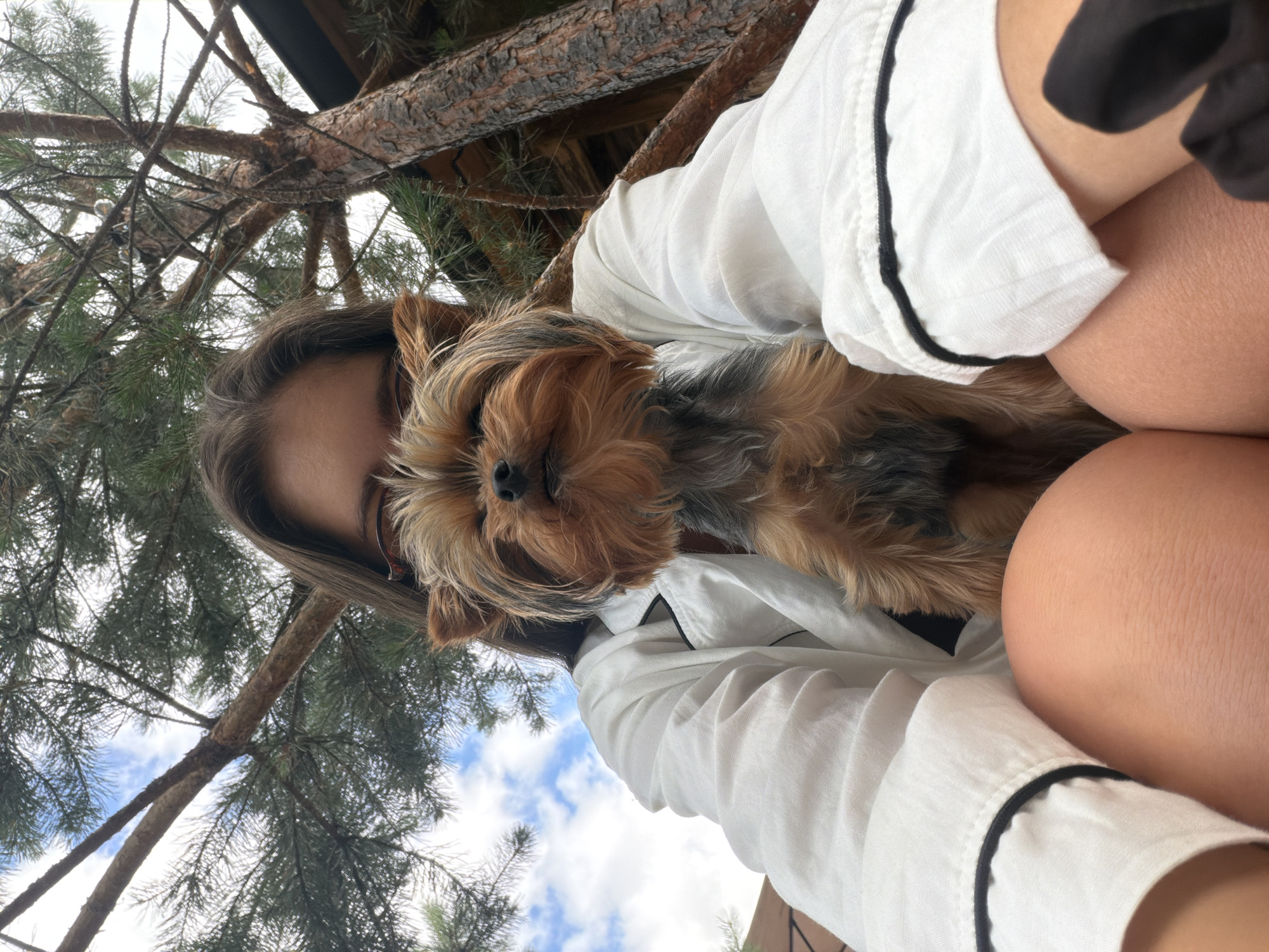 A low-angle, close-up shot shows a young woman wearing a white robe with black trim and a Yorkshire terrier held on her lap. The woman's face is partially obscured by the dog and her hair. She appears to be outdoors, with a large pine tree and its branches framing the top and right sides of the image. The sky with scattered clouds is visible through the branches. The background also shows a glimpse of a wooden structure. The scene appears to be in a natural setting, likely a yard or garden, in the village of Mansky, Russia.