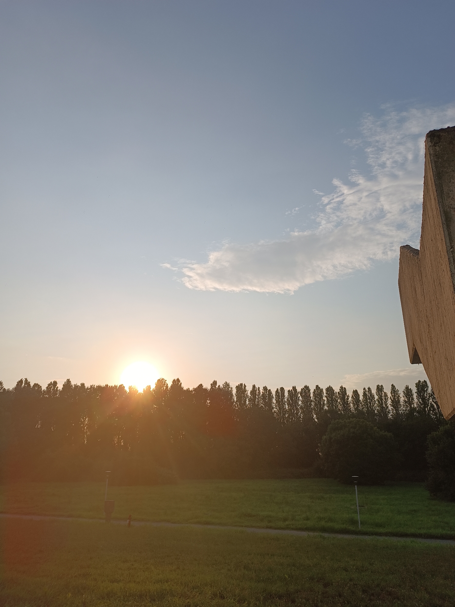 The image depicts a sunset in Casalmaggiore, Italy. The sun is low on the horizon, casting a warm glow over a grassy field. A line of tall trees borders the field, and in the foreground, there is a paved path. To the right of the frame, a large, angular concrete structure is partially visible, its textured surface illuminated by the setting sun. The sky is a gradient of light blue, with a few wispy clouds. There are no people or animals visible in the image. The overall scene suggests a tranquil, natural environment within an urban setting.