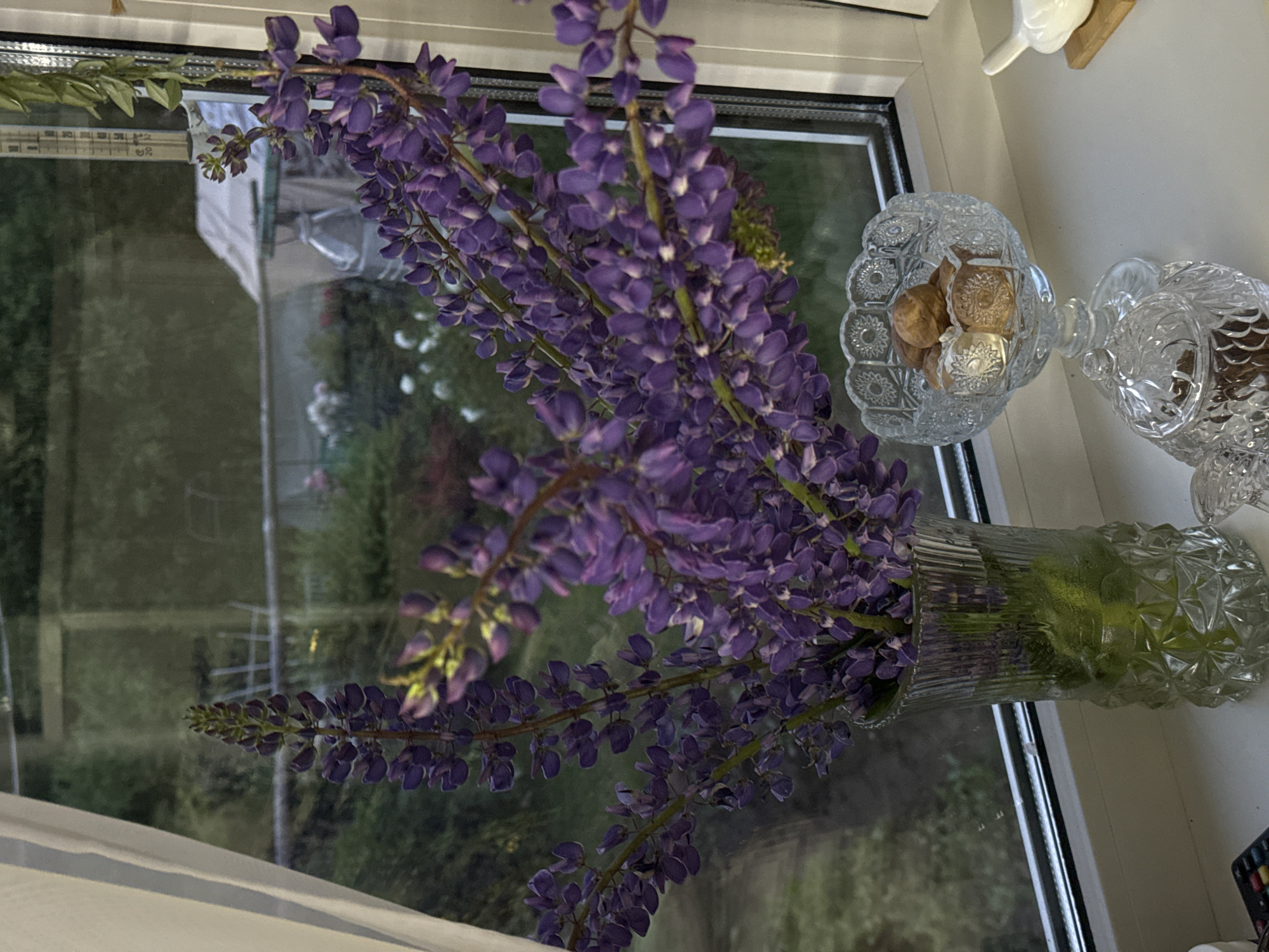 A still life composition is captured on a windowsill, featuring a bouquet of purple lupine flowers in a fluted glass vase. Beside the vase, a small, ornate crystal bowl holds several pieces of hard candy. To the right of the bowl, a decorative white bird figurine rests on a small wooden block. The scene is illuminated by natural light, and the background is a window overlooking a garden with greenery and a covered structure. The overall impression is one of domestic tranquility.