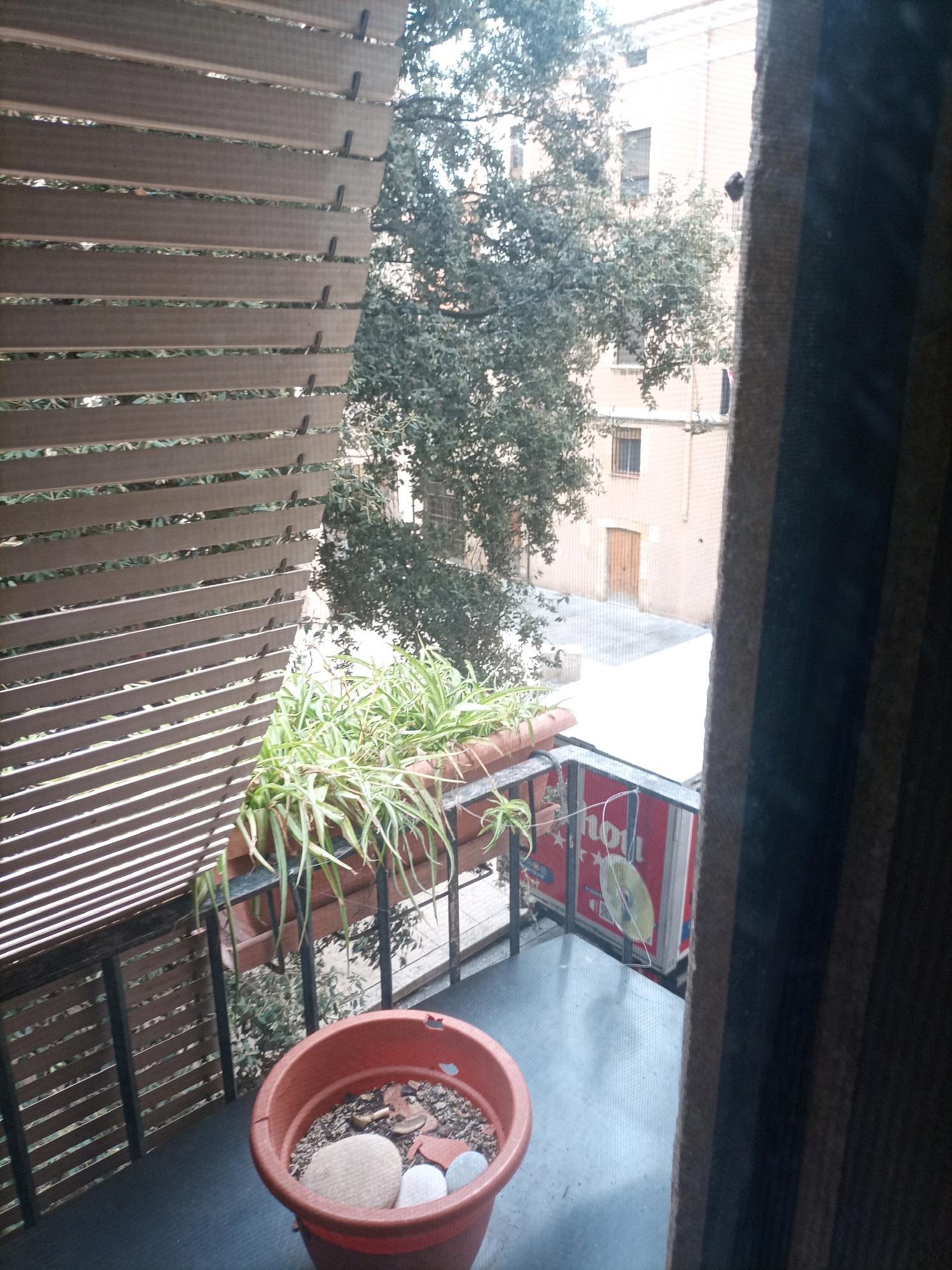 The image depicts a view from a balcony overlooking a courtyard in Tarragona, Spain. In the foreground, a large terracotta pot filled with soil and decorative stones is visible. To the left, a long, rectangular planter holds a cascading spider plant. A slatted screen obscures part of the view, providing privacy. Beyond the balcony, a building with a light-colored facade and several windows is visible, with a wooden door and a smaller window on the ground floor. A large tree with dense foliage dominates the middle ground, its branches reaching towards the building. The ground in the courtyard appears to be paved. The overall scene suggests a residential area with a focus on outdoor living spaces.