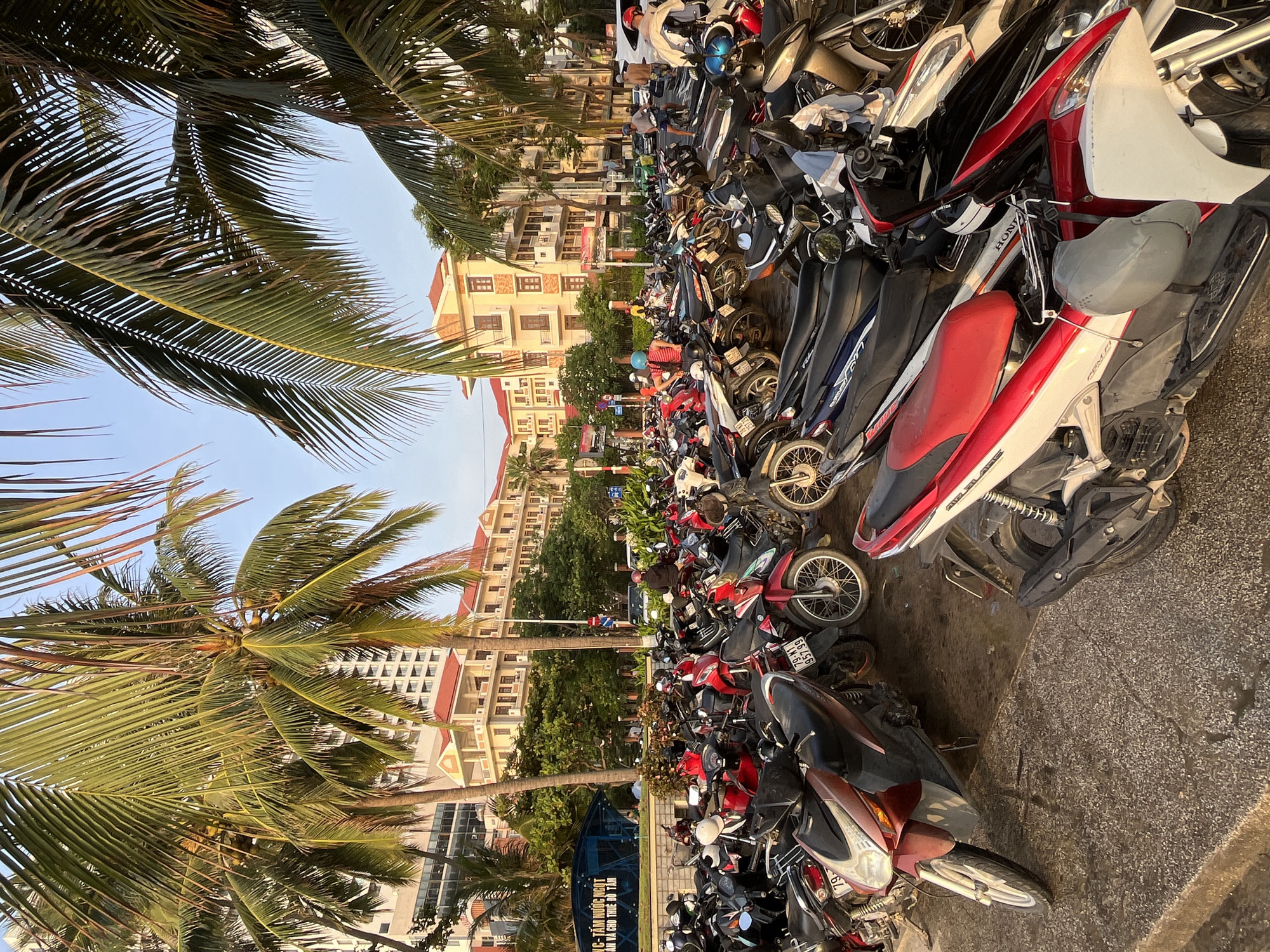This image captures a street scene in Nha Trang Ward, Vietnam, densely packed with motorbikes parked along the roadside. Palm trees line the left side of the frame, their fronds swaying and creating a tropical ambiance. In the background, multi-story buildings stand, indicative of the urban environment. The motorbikes are of various makes and models, displaying a mix of colors and designs. A sign visible near the bottom is partially readable, including the words "TĂM NƯỚC NGỌT" and "CHO THUÊ ĐỒ TẦM". The perspective is from ground level, and the lighting suggests it is daytime. The overall impression is of a bustling, vibrant city with high motorbike ownership.