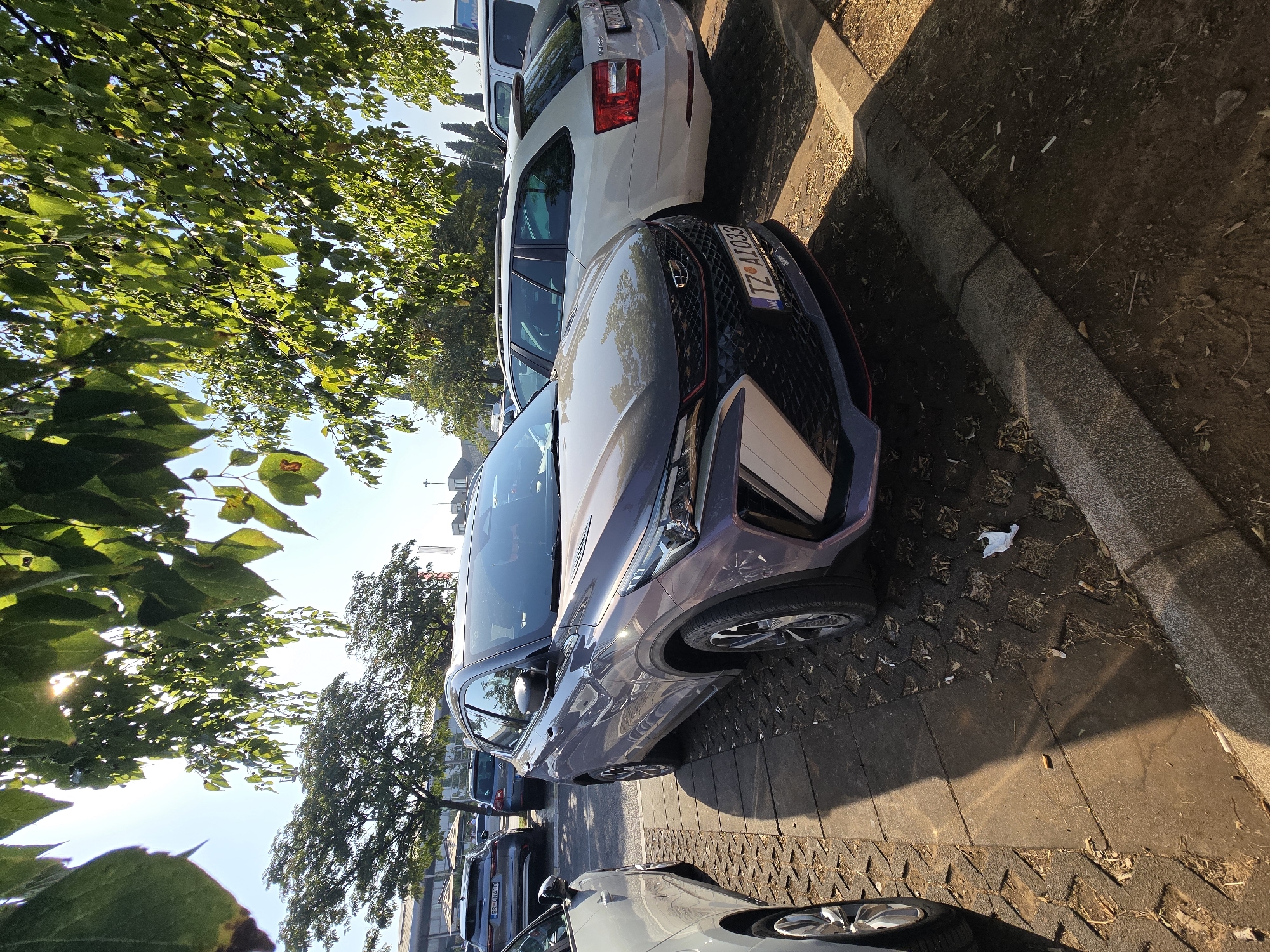 A purple car, possibly a Geely Coolray, is parked in a lot near other vehicles and under a canopy of green leaves. The car has a license plate that reads "TZ AI033". The ground is paved with interlocking bricks and dirt, with some scattered leaves and cigarette butts. The sun is shining brightly, casting shadows on the ground. The location appears to be a parking lot in Golubovci, Montenegro.