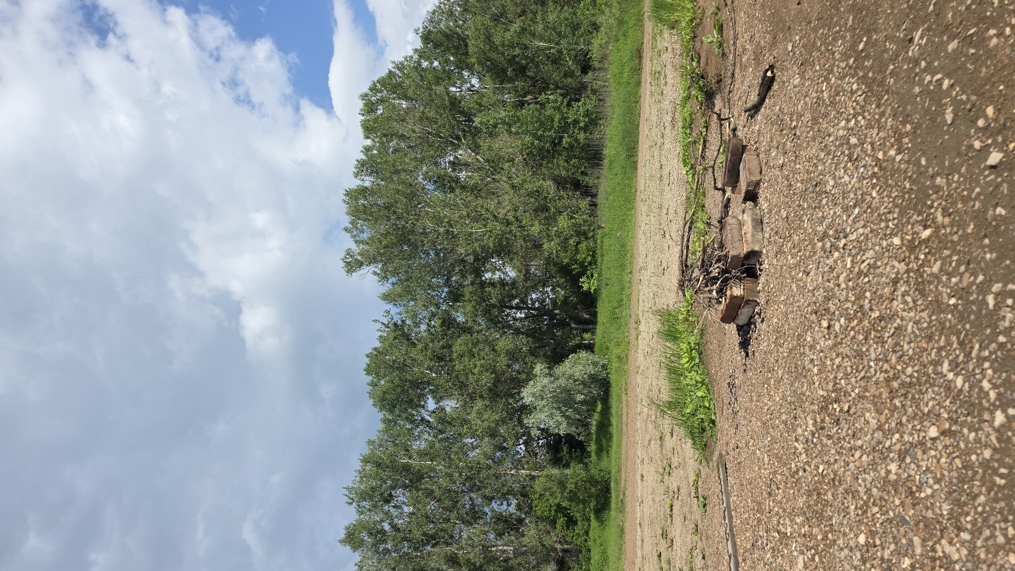 The image shows an outdoor scene in or near the city of Darino, Russia, on a cloudy day. In the foreground, a rough, gravelly surface dominates the lower half of the frame. Scattered on this surface are several weathered bricks, arranged to form a makeshift fire pit. A pile of dry branches and twigs rests atop the bricks, suggesting preparation for a fire. To the left of the fire pit, a thin, light-colored wooden plank lies horizontally on the ground.
Further back, a strip of green grass separates the gravelly area from a dense line of tall, deciduous trees that form a natural backdrop. The trees are lush with green foliage, indicative of a warm season. A slightly lighter-colored, bush-like tree with silvery leaves stands out amongst the darker green trees. The ground beneath the trees appears to be a mix of dirt and vegetation.
The sky above is a dynamic mix of grey and white clouds, with patches of bright blue visible in the upper right corner. The overall impression is a rustic, possibly recreational, outdoor location.
