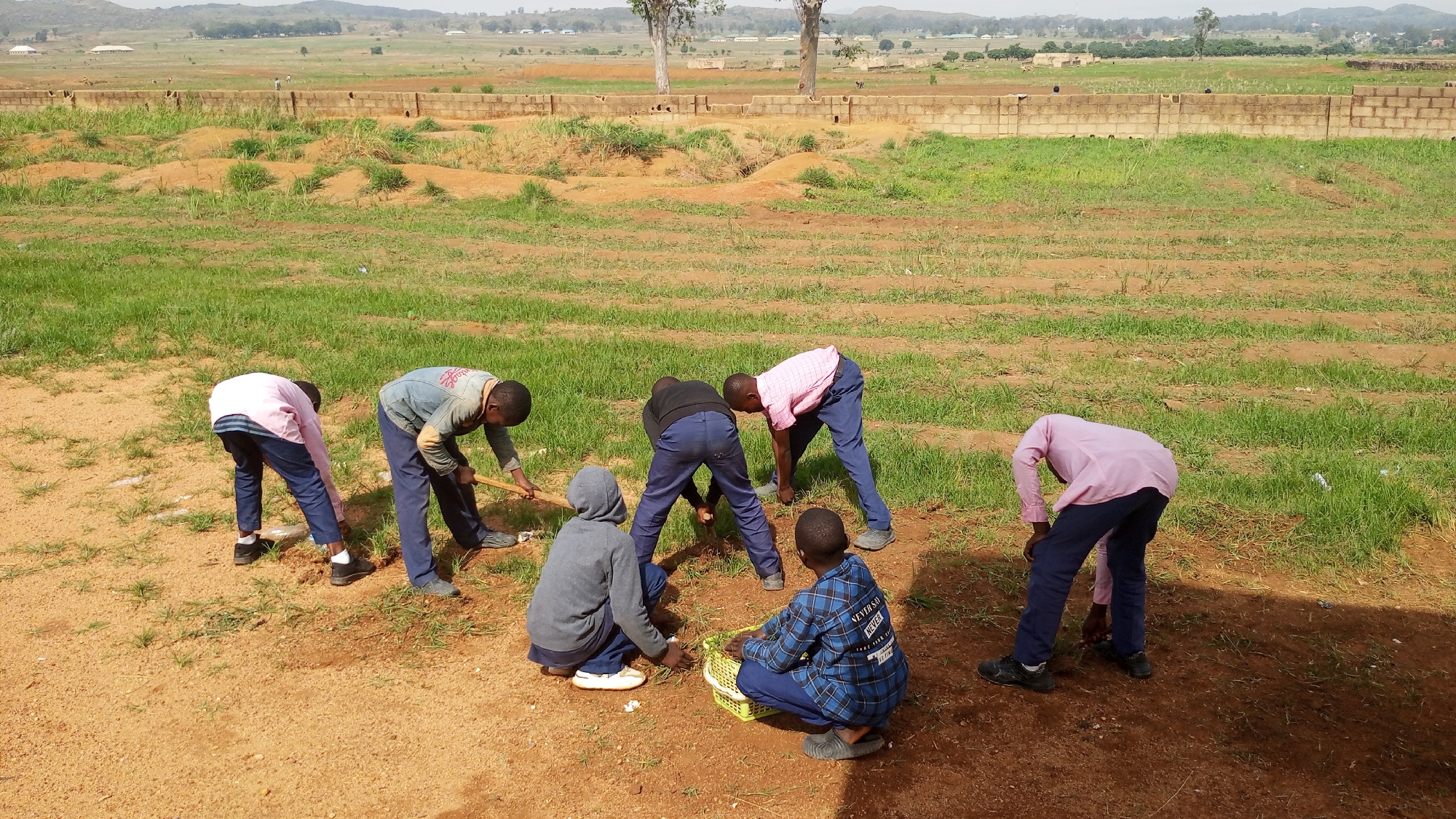 The image shows seven people outdoors in a grassy field. The location is likely in Vom, Nigeria, based on the prompt.
Five people are bending over. One is using a wooden tool resembling a pick or hoe. Two people are crouching; one is holding a basket. Most wear dark-colored pants and shirts or jackets, with the colors pink, gray, blue, and black.
The ground is a mix of dirt and grass. In the background, there's a low wall, vegetation, and distant hills. The sky is overcast.