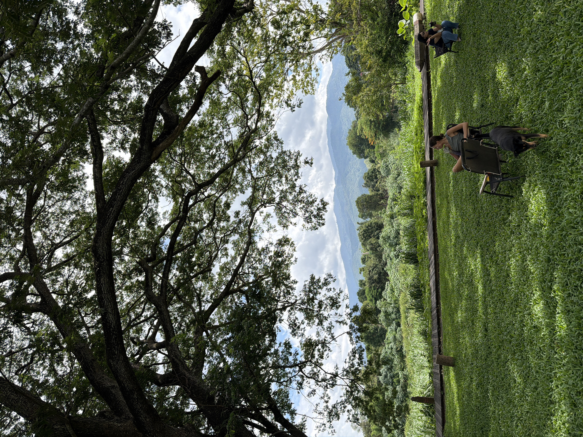 In Tambon San Phi Suea, Thailand, a tranquil scene unfolds beneath the expansive canopy of a large tree. A woman is seated in a portable chair on a manicured green lawn, a black dog stands near her. In the background, another woman sits on a bench, further away. A wooden walkway runs along the edge of the lawn, leading to a lush landscape of trees and mountains under a partly cloudy sky. The atmosphere is serene and idyllic, suggesting a peaceful outdoor retreat.