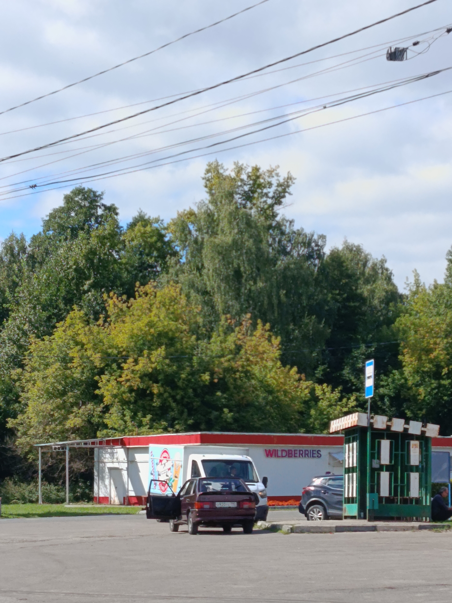The image depicts an outdoor scene in the city of Vereya, Russia, featuring a Wildberries pickup point. In the foreground, a dark-colored sedan is parked with its driver's side door open. To its left, a white van is parked. Further to the right, a grey crossover vehicle is positioned near a green bus stop shelter. A person is seated on the ground next to the bus stop. Behind the vehicles and bus stop, a building with a red and white facade, identified by the prominent "WILDBERRIES" signage, is visible. The background consists of dense green trees under a cloudy sky, with overhead power lines crossing the frame. The ground surface is asphalt.