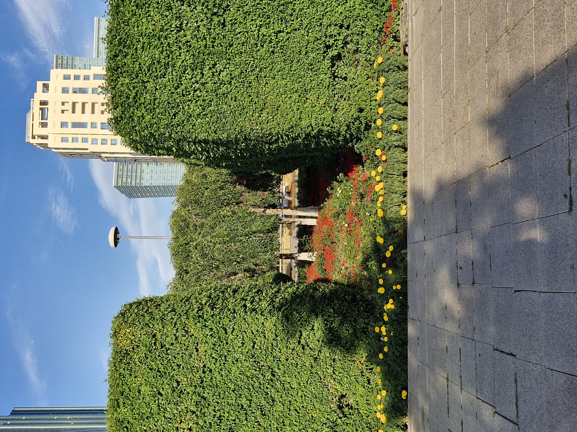 The image captures a park scene in Astana, Kazakhstan, characterized by manicured green hedges and vibrant flowerbeds. In the foreground, a paved walkway made of square stone tiles is visible, with shadows cast by unseen trees. Behind the walkway, two large, rectangular hedges flank a central area filled with blooming yellow and red flowers, interspersed with greenery. Beyond the flowers, a weeping willow tree stands with its branches cascading down. In the background, a modern cityscape emerges, with a tall, cream-colored building dominating the skyline, featuring numerous windows and balconies. To its left, a cylindrical glass skyscraper is partially visible, and further behind, another blue-tinted glass skyscraper stands. A street lamp with a round, white shade is positioned between the hedges and the skyscrapers, against a clear blue sky with wispy white clouds. The overall scene depicts a blend of urban architecture and meticulously maintained parkland, suggesting a well-developed public space within the city.