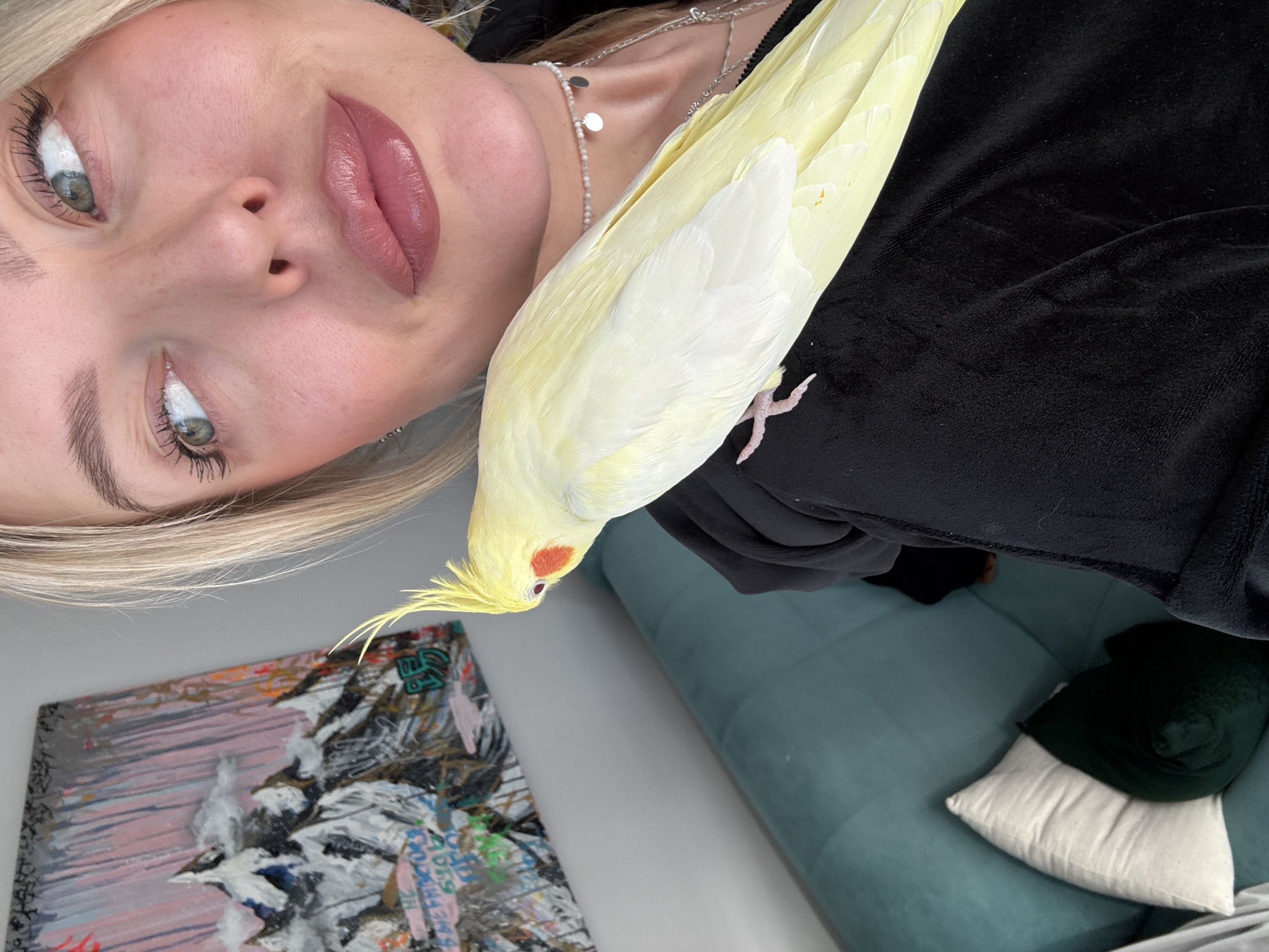 This media file captures an angled, close-up portrait of a blonde woman and a light yellow cockatiel in an indoor setting in Krasnoyarsk, Russia. The woman's face, visible from her nose upwards, features green eyes looking slightly away and full lips painted with a dark pink lipstick. She wears mascara, enhancing her eyelashes.
A light yellow cockatiel with a distinctive red-orange cheek patch and prominent crest is perched on the woman's shoulder or chest, resting on a black, soft-textured garment, possibly velvet or velour. The bird appears calm and relaxed. A delicate silver necklace with small, round charms is visible around the woman's neck.
In the lower-left portion of the image, an abstract artwork or painting is partially shown. It displays a blend of colors and textures, possibly depicting a mountainous or stormy scene, overlaid with graffiti-like text and fragmented letters, including what appears to be "EA" and other illegible markings. To the right, a teal-colored sofa or armchair is visible, adorned with a white throw pillow and a dark green or black rolled-up item.
The scene suggests a peaceful moment, with the woman posing alongside her pet bird. The lighting is bright and even, indicating daytime. The woman's expression is neutral and calm. No specific weather conditions are discernible from the indoor setting.