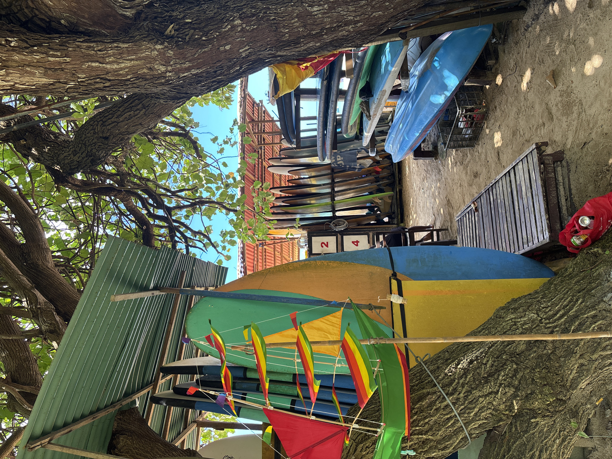 The image, taken in Kuta Selatan, Indonesia, shows an exterior scene with numerous surfboards stacked in racks. These racks are constructed from wood and metal, positioned in front of what appears to be a corrugated metal structure, with two exposed numbers 2 and 4. The surfboards are of various colors and sizes, including blue, green, and yellow. Colorful kites are also visible, attached to what seem to be trees and bamboo poles. The view is framed by tree branches and foliage, which obscure a partial view of a light blue sky. The area appears to be sandy, with possible signs of a building or enclosure adjacent to the surfboards.