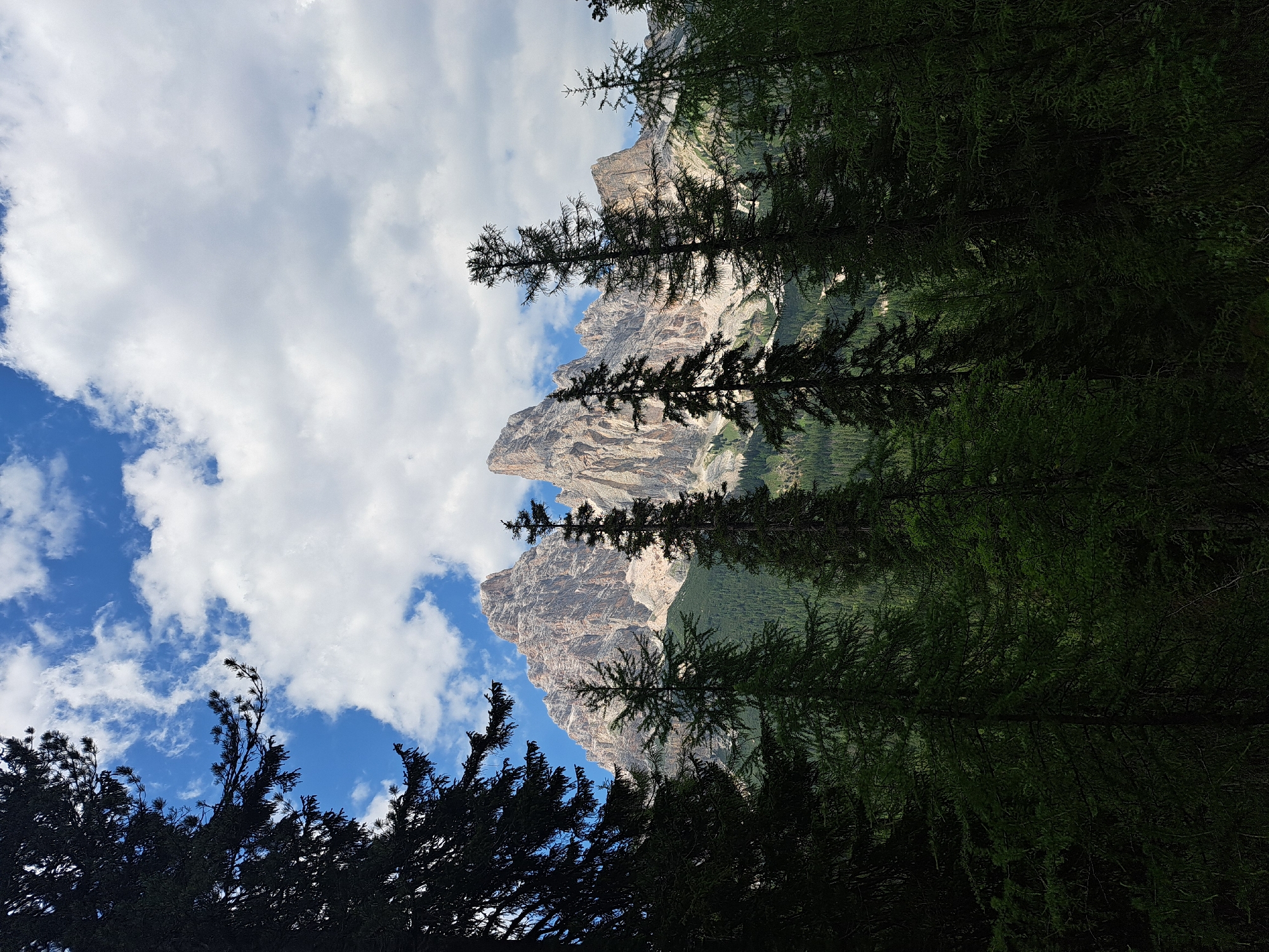 The image depicts a mountainous landscape viewed through the branches of dark green coniferous trees. The mountains are rocky and rugged, with sharp peaks and sheer faces, illuminated by what appears to be natural daylight. The sky above is a mix of blue and white, with fluffy clouds scattered across it. The foreground is dominated by the silhouettes of evergreen trees, their branches reaching towards the sky and framing the view of the mountains. The overall impression is one of a serene and majestic natural scene, likely captured in a mountainous region during the daytime, with fair weather. There is no visible text or human activity in the image. The orientation of the image suggests it might have been taken in a landscape mode with the top of the image on the left.