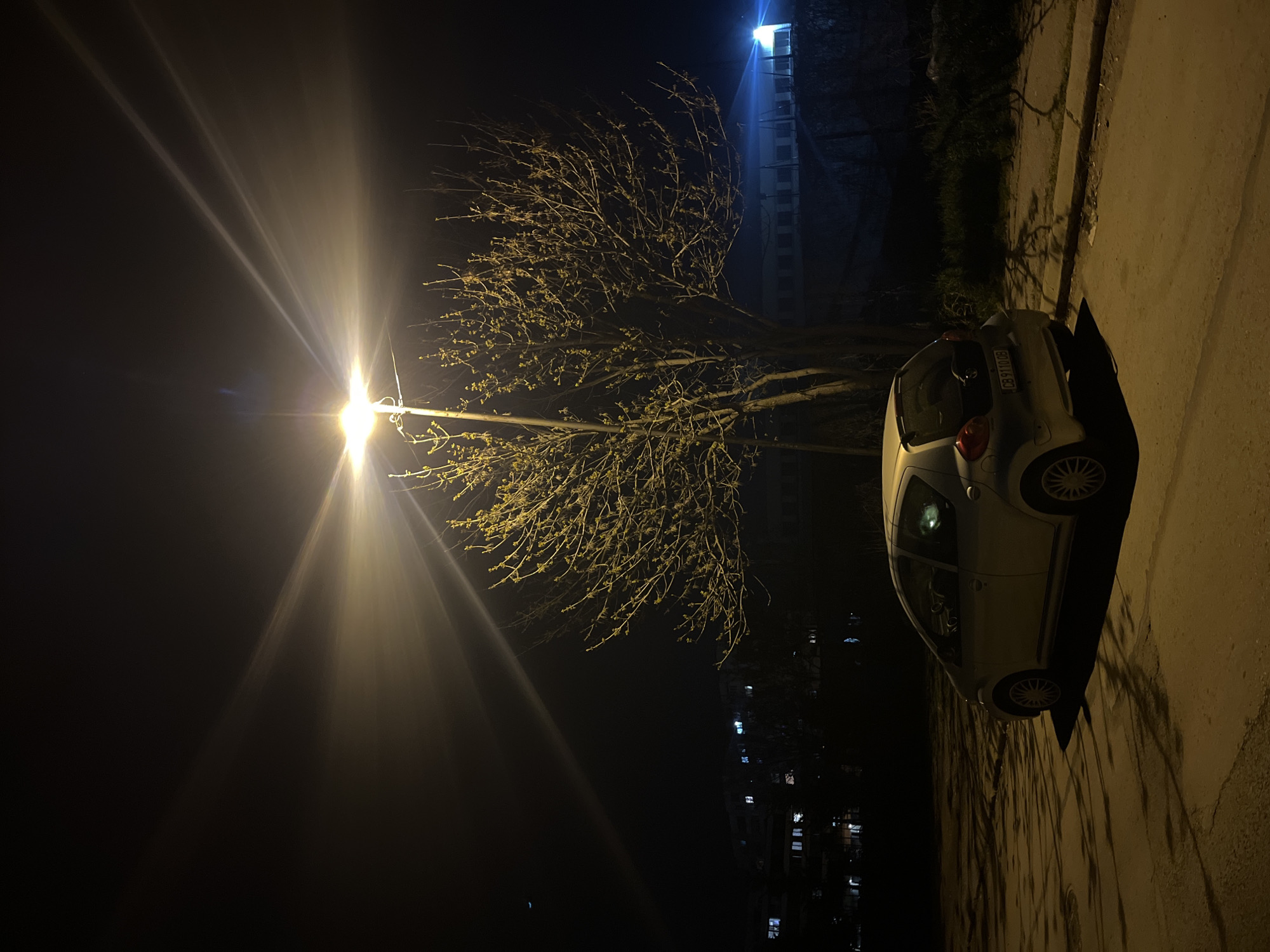 This nighttime photograph captures an urban scene featuring a parked car, a streetlamp, and a tree with emerging foliage. The image is oriented vertically, with the ground plane running along the right side.
A powerful streetlamp, positioned on the left, is the dominant light source, emitting a bright, yellowish-white glow that creates pronounced lens flares stretching across the dark sky. This light illuminates the delicate branches of a deciduous tree, located centrally in the frame, which is covered with numerous small, light green leaf buds, indicative of early spring.
On the right side, a compact, light-colored car, appearing silver or white, is parked on a paved surface next to a grassy area. The rear of the car faces the viewer, and a Bulgarian license plate, "CB 9100 OB," is clearly visible on its trunk. The strong artificial light from the streetlamp casts long, distinct shadows of the tree's branches across the paved ground and partially onto the car.
In the background, a tall, multi-story building is visible, with several windows illuminated by internal lights. The overall atmosphere is dark, with the artificial lights providing focused illumination to the immediate foreground elements. There are no people visible in the frame, depicting a tranquil, static moment in Sofia, Bulgaria, as indicated by the license plate.