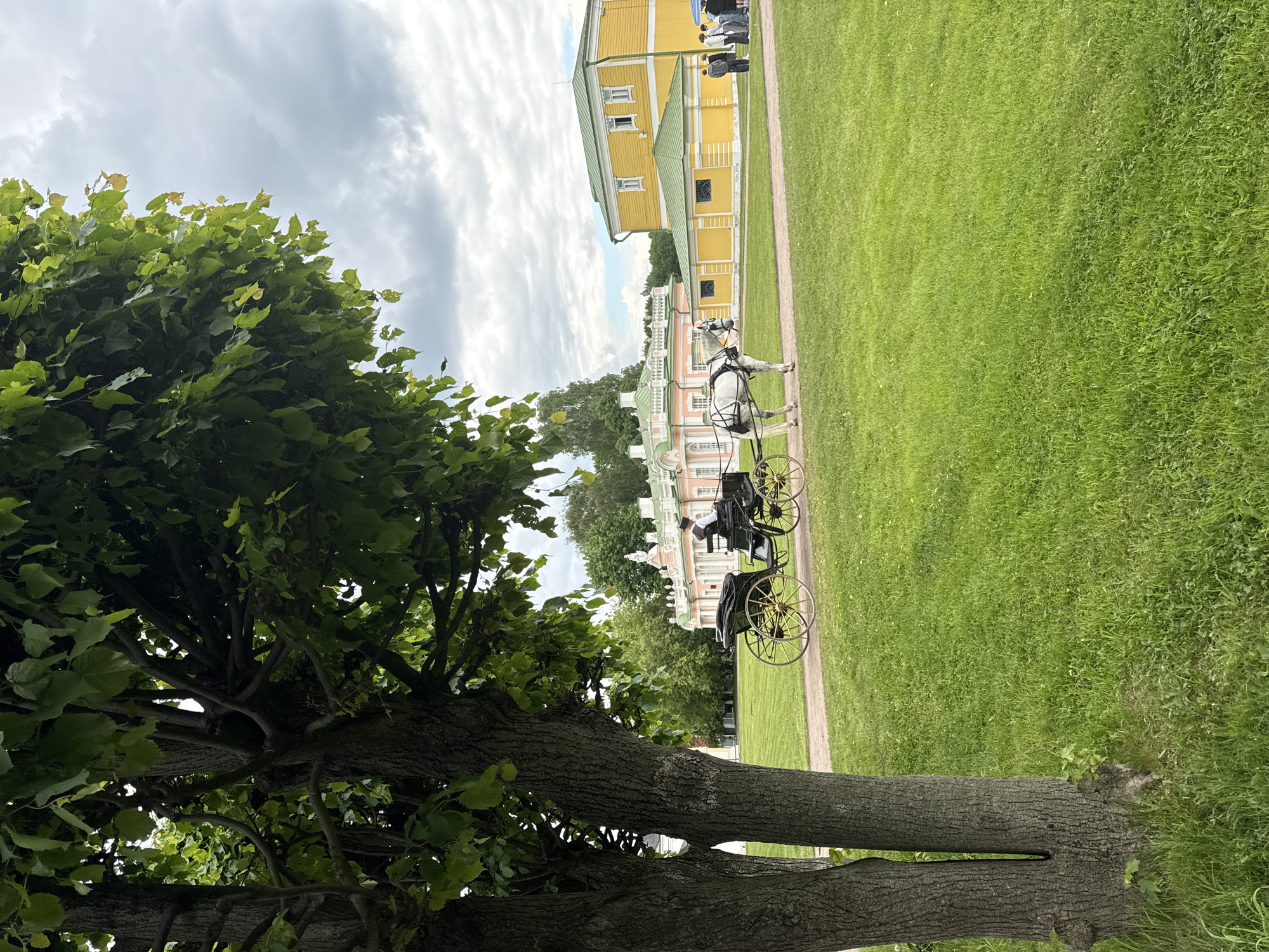 The image shows a park scene in Moscow, Russia. A large tree is in the foreground, partially obscuring the view. In the background, there's a yellow building, a pink building, a grassy area, and a pathway. A horse-drawn carriage is parked on the pathway. An individual in a hat is riding on the carriage.