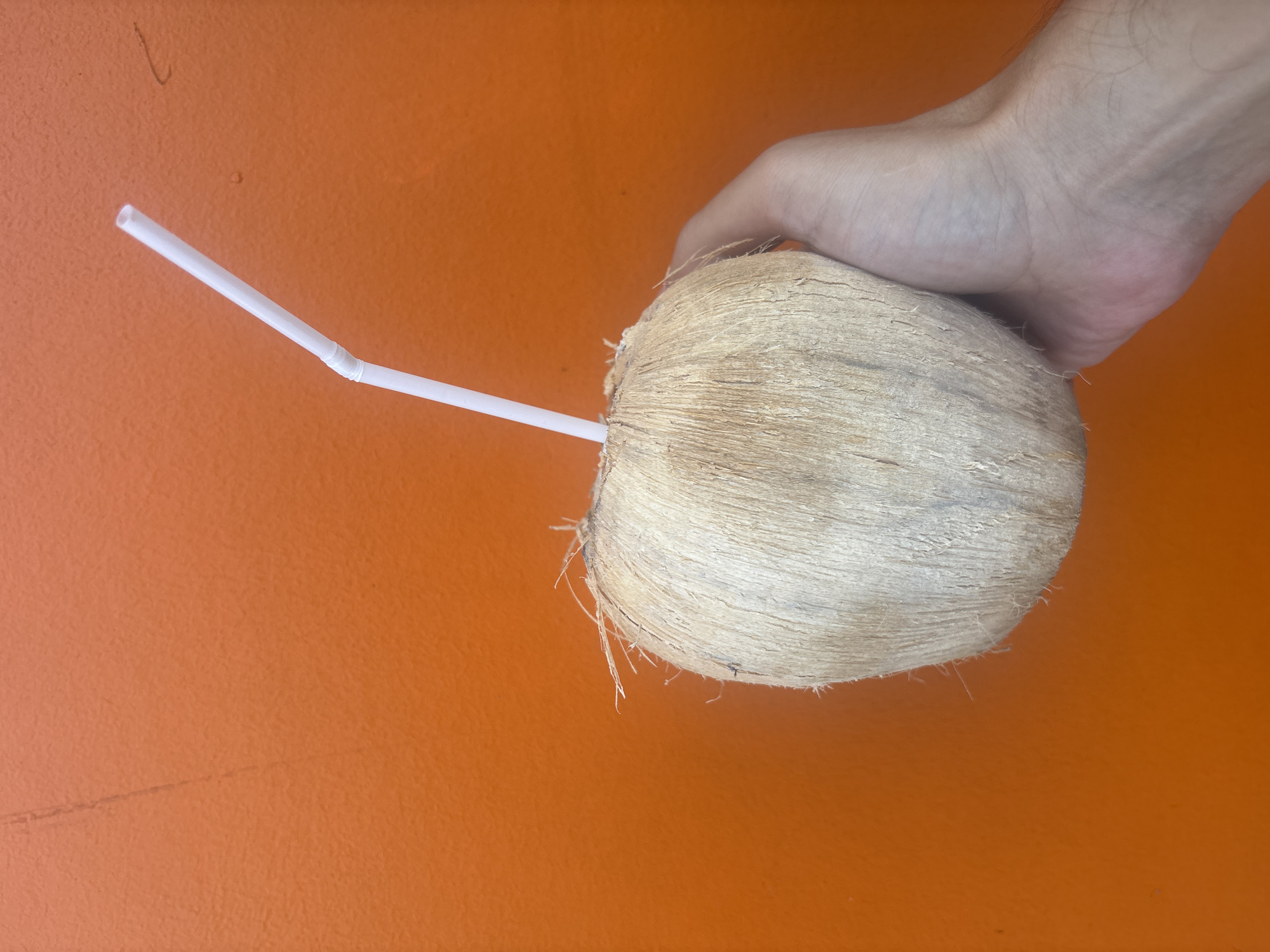 A hand holds a whole coconut with a white plastic straw inserted, against a bright orange background. The coconut is round and covered in fibrous brown husks. The straw is angled upwards and to the right. The background is a plain, textured orange wall.