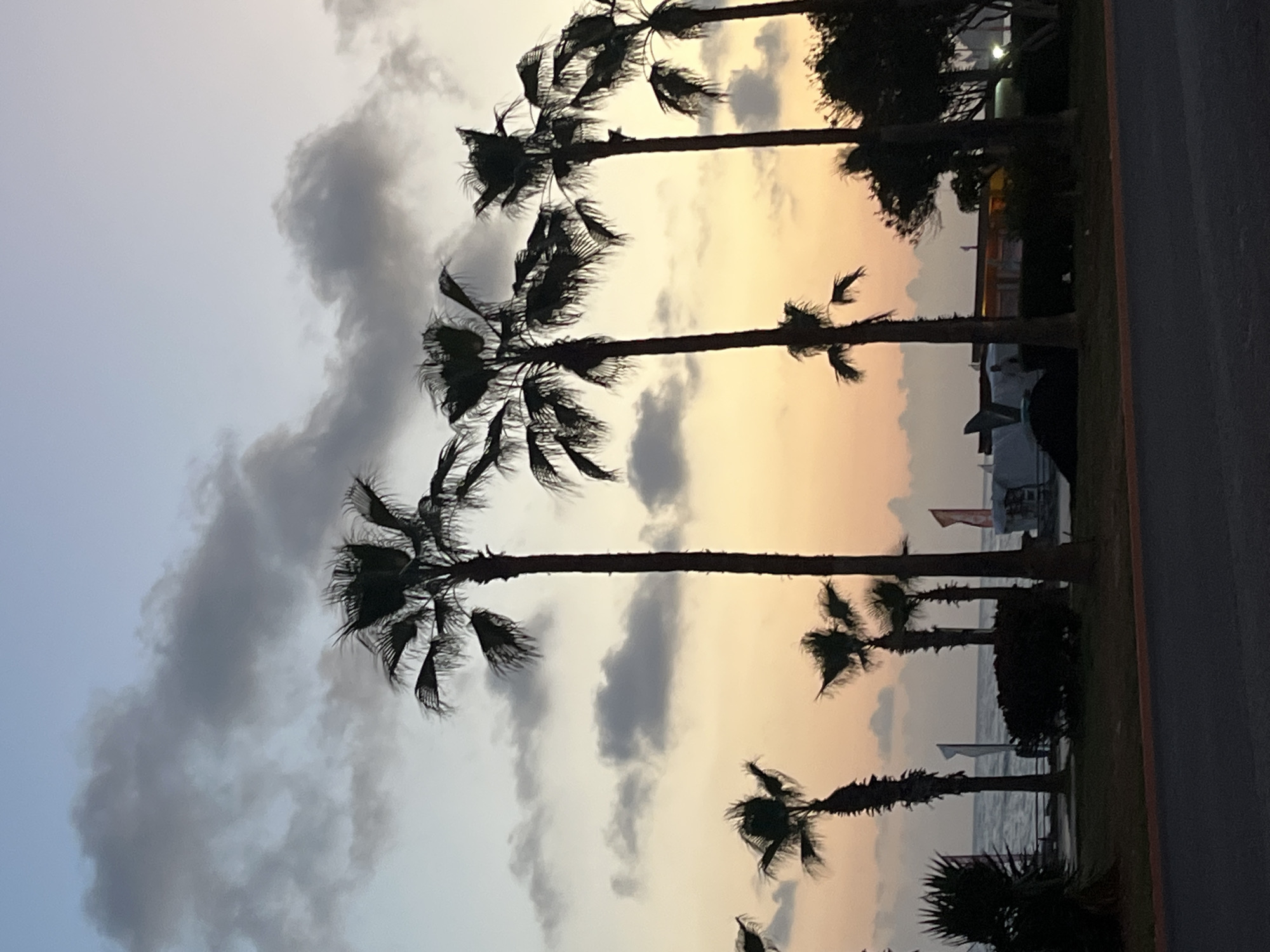 The image captures a twilight scene in Alanya, Turkey, featuring silhouetted palm trees against a sky with a gradient of colors, from soft blue-grey at the top to orange and yellow near the horizon. Dark, amorphous clouds are scattered across the sky, partially obscuring the sunset. The palm trees line what appears to be a coastal road or promenade. Beyond the trees, the dark form of the sea is visible, and faint shapes suggest the presence of buildings and boats along the shoreline. The foreground is mostly dark, indicating a roadside area or embankment.