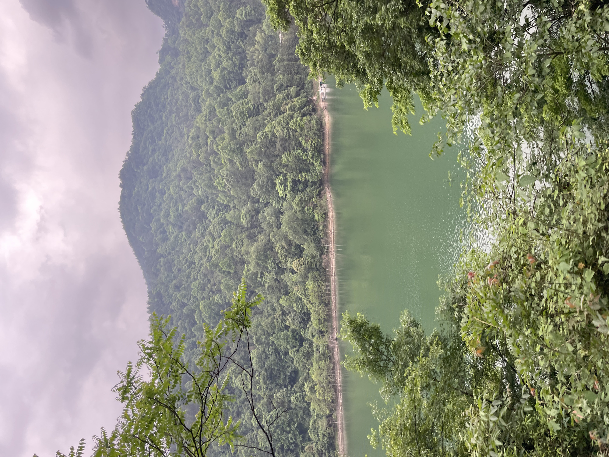 A green-toned lake stretches from the bottom to the top of the image, its surface broken by slight ripples. A mountain covered in dense, green vegetation forms the left border of the image. The cloudy sky partially visible above the mountain suggests overcast weather. Trees with full foliage frame the water and mountain on either side of the image. The scene evokes a sense of tranquility. The location appears to be Wulingyuan, China, based on similar landscapes.
