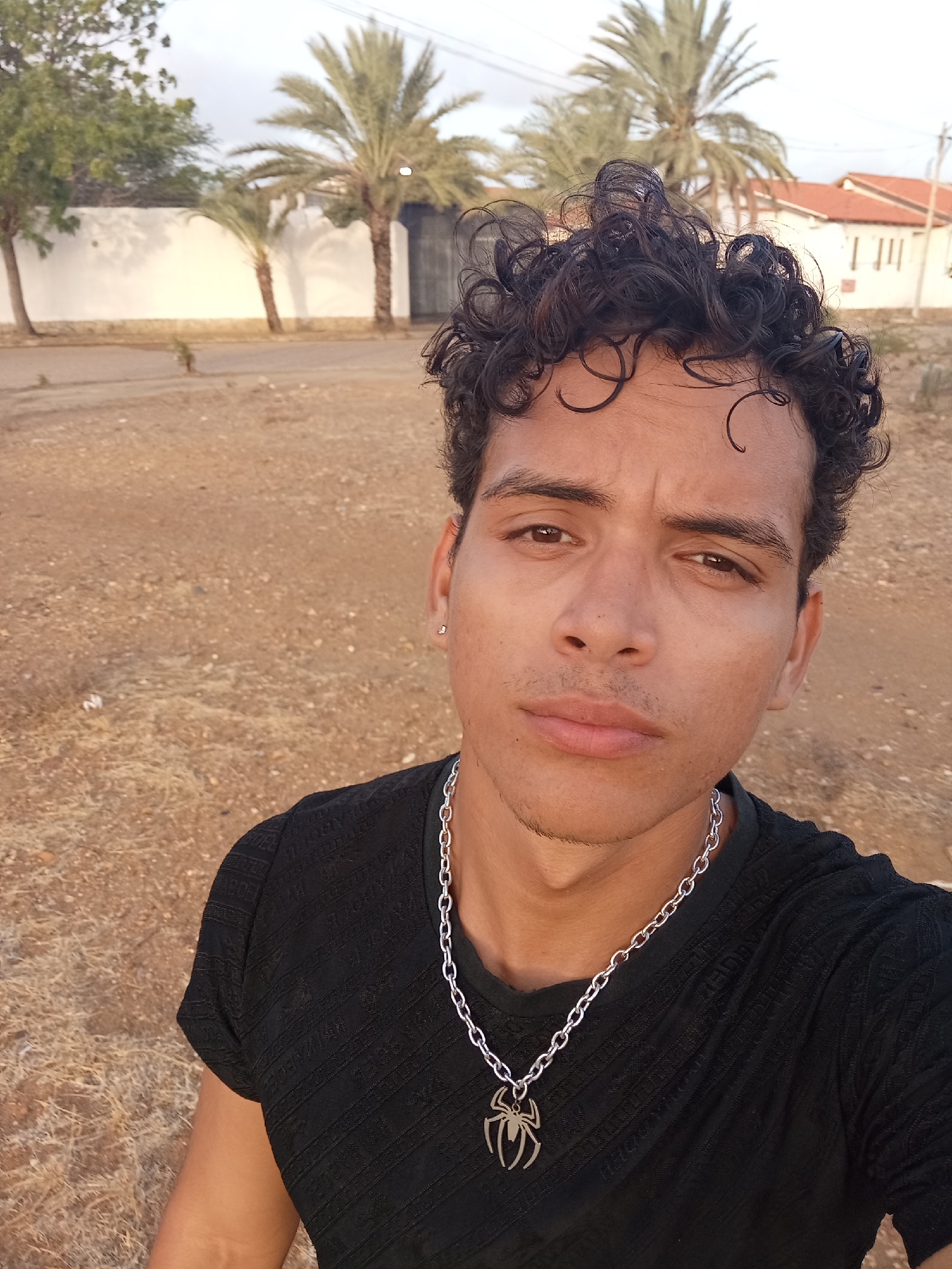 This is a close-up portrait of a young man, likely in his late teens or early twenties, set outdoors. He has curly dark hair, dark brown eyes, and light brown skin, with a faint stubble on his chin and upper lip. He looks directly at the camera with a neutral to slightly serious expression, his brow subtly furrowed. A small silver stud earring is visible in his left ear.
He is wearing a black, short-sleeved t-shirt with a subtle textured pattern. A prominent silver chain necklace adorns his neck, featuring a distinctive silver pendant shaped like the iconic Spider-Man logo.
The scene behind him depicts a dry, unpaved area with reddish-brown earth and sparse, dry vegetation. In the midground, several tall palm trees with green fronds are visible, alongside other green trees. A long, low white wall runs horizontally across the background, and beyond it, parts of buildings with reddish-orange tiled roofs can be seen under a light sky. The soft, warm lighting suggests either early morning or late afternoon, possibly the golden hour.
There is no specific activity other than the man posing for the photo. The environment, with its palm trees, dry landscape, and architectural style, is consistent with the provided location context of Juan Griego, Venezuela. No visible text appears in the image.